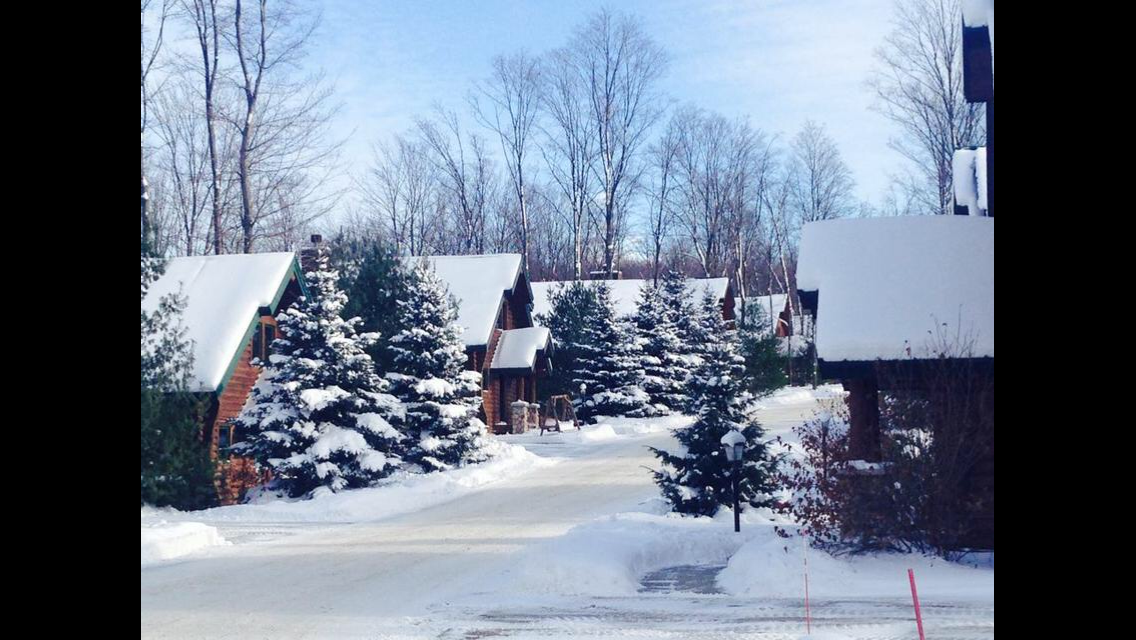 4 BR Mt Cabin, Boyne Mt Cabins for Rent in Boyne Falls, Michigan
