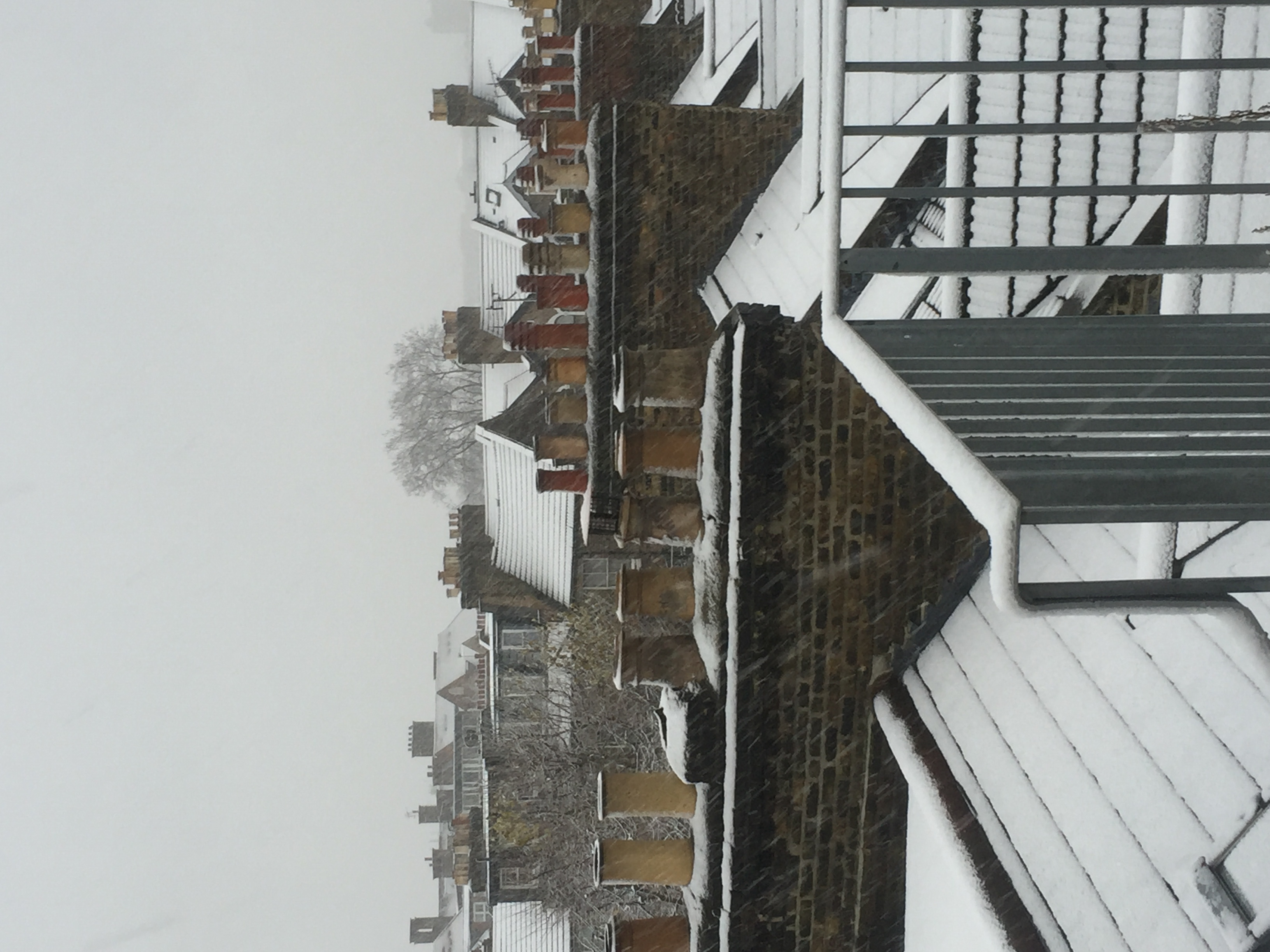 Cosy flat close to central London fab rooftop view Flats for Rent in