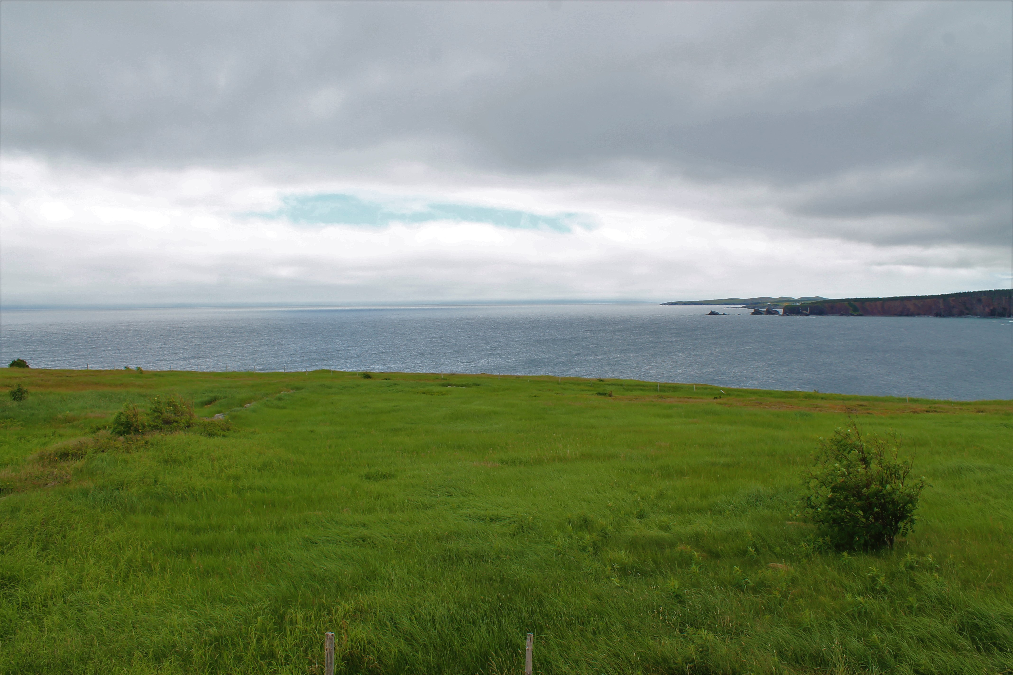 Oceanfront Cottage with View of Northern Bay Sands Cottages for Rent
