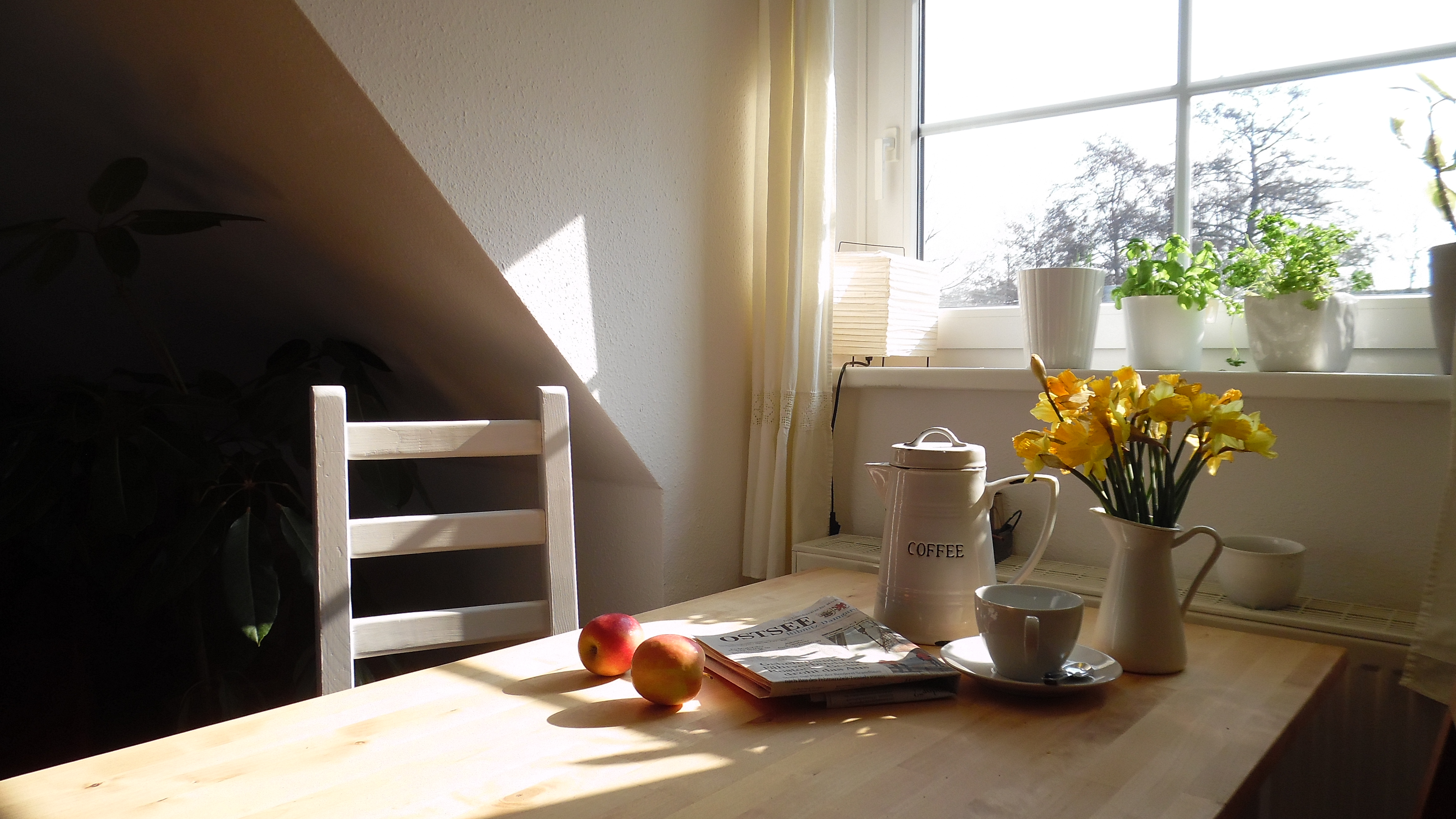 Lovely duplex apartment close to the national park