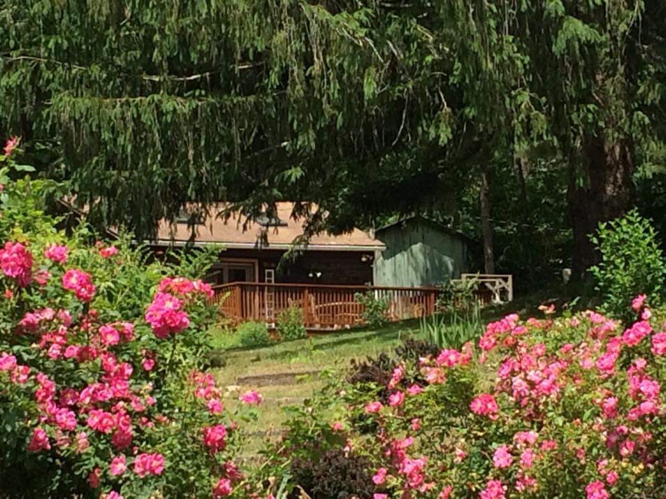 Cozy Cabin with Huge Deck with Great Views Cabins for Rent in Shandaken, New York, United States