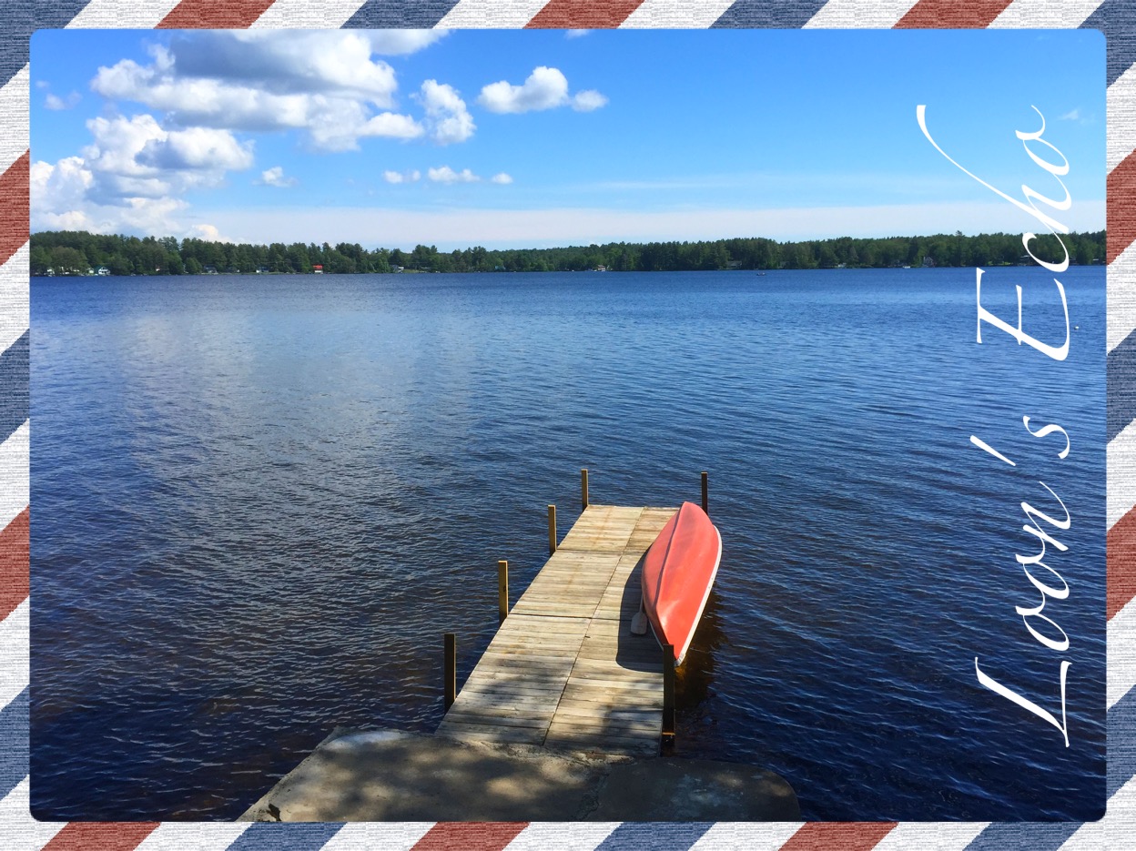 Loon's Echo lakefront w/ JACUZZI, private dock Cabins for Rent in