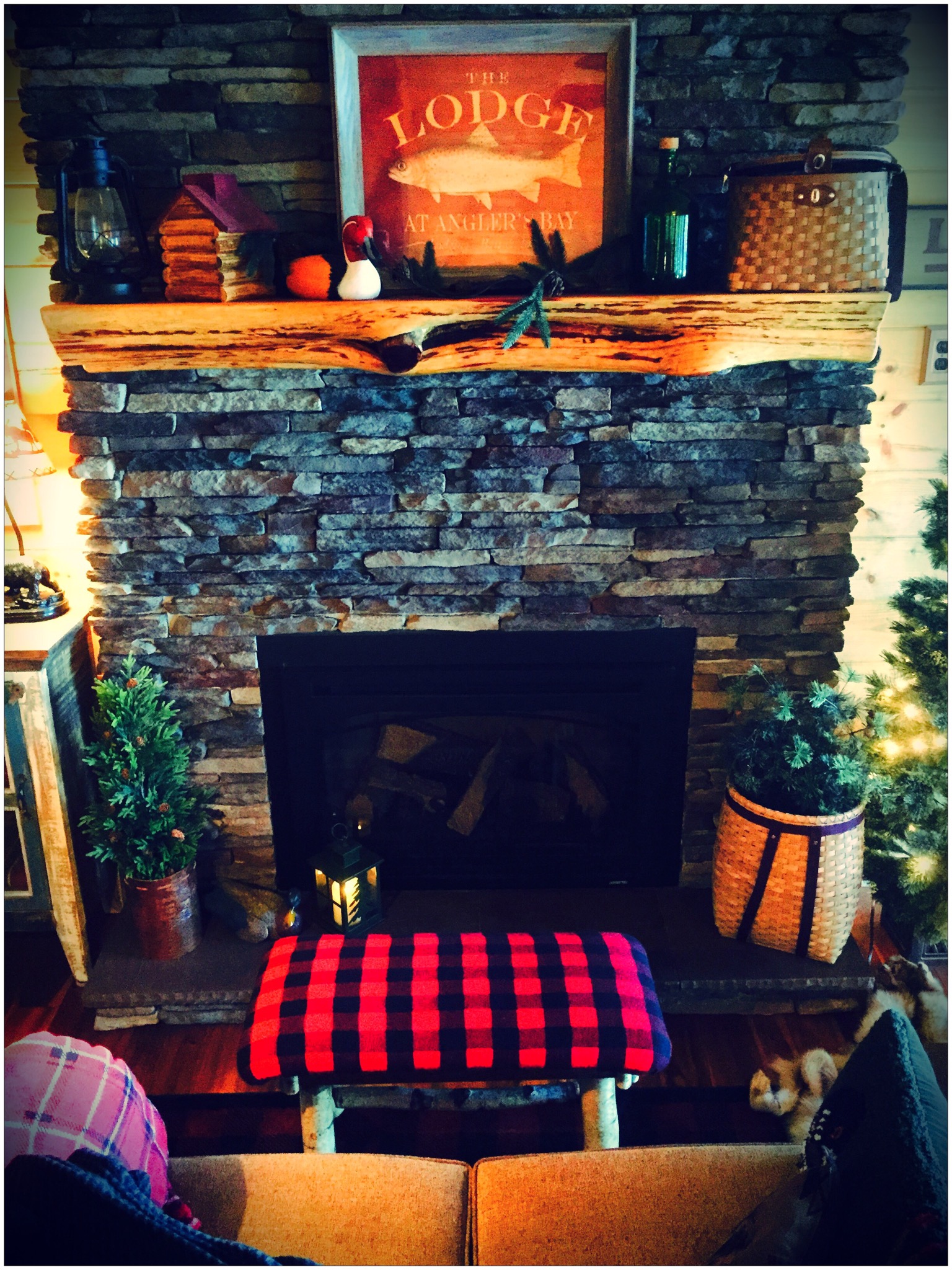 Loon's Echo lakefront w/ JACUZZI, private dock Cabins for Rent in