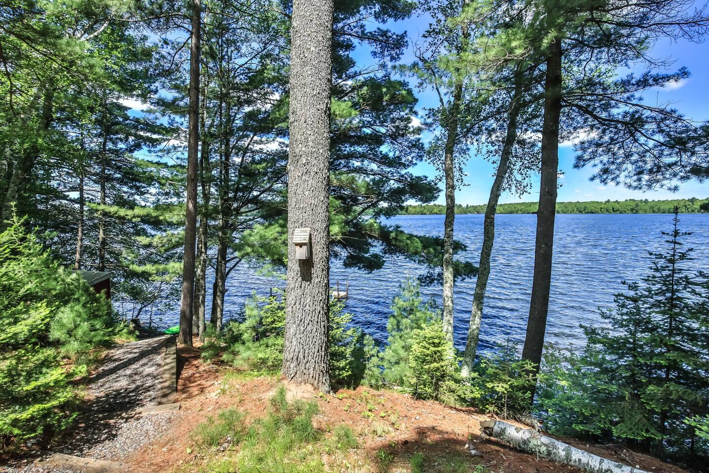 TWO CABINSSUMMER · Two cabins on the scenic shores of Pickerel Lake