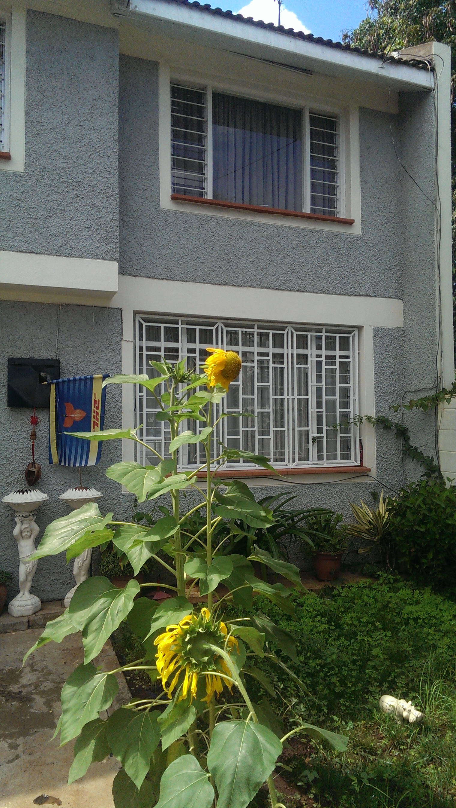 Cozy Home just of the Main Highway in Langata, Nairobi