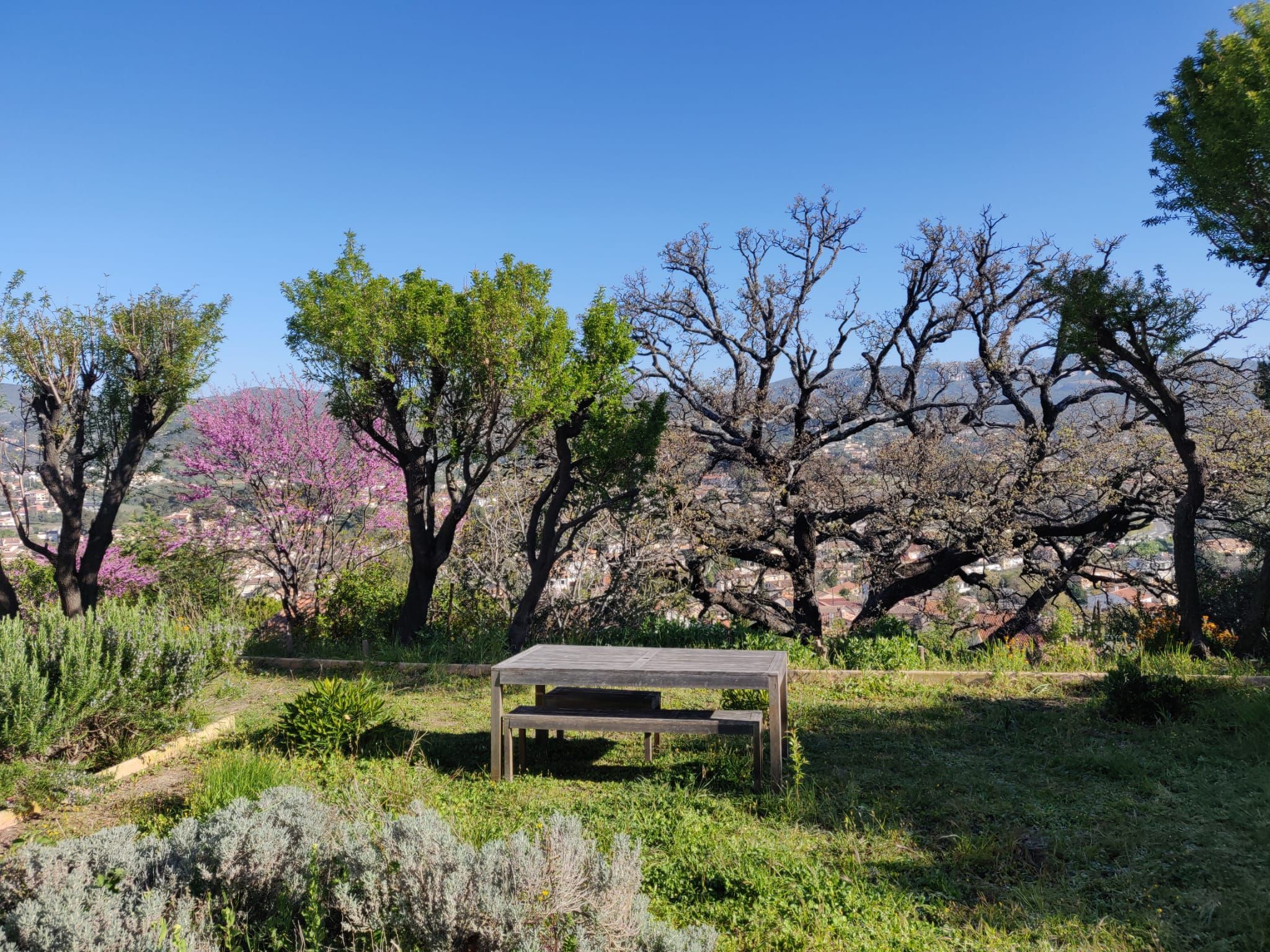 Guesthouse with panoramic view