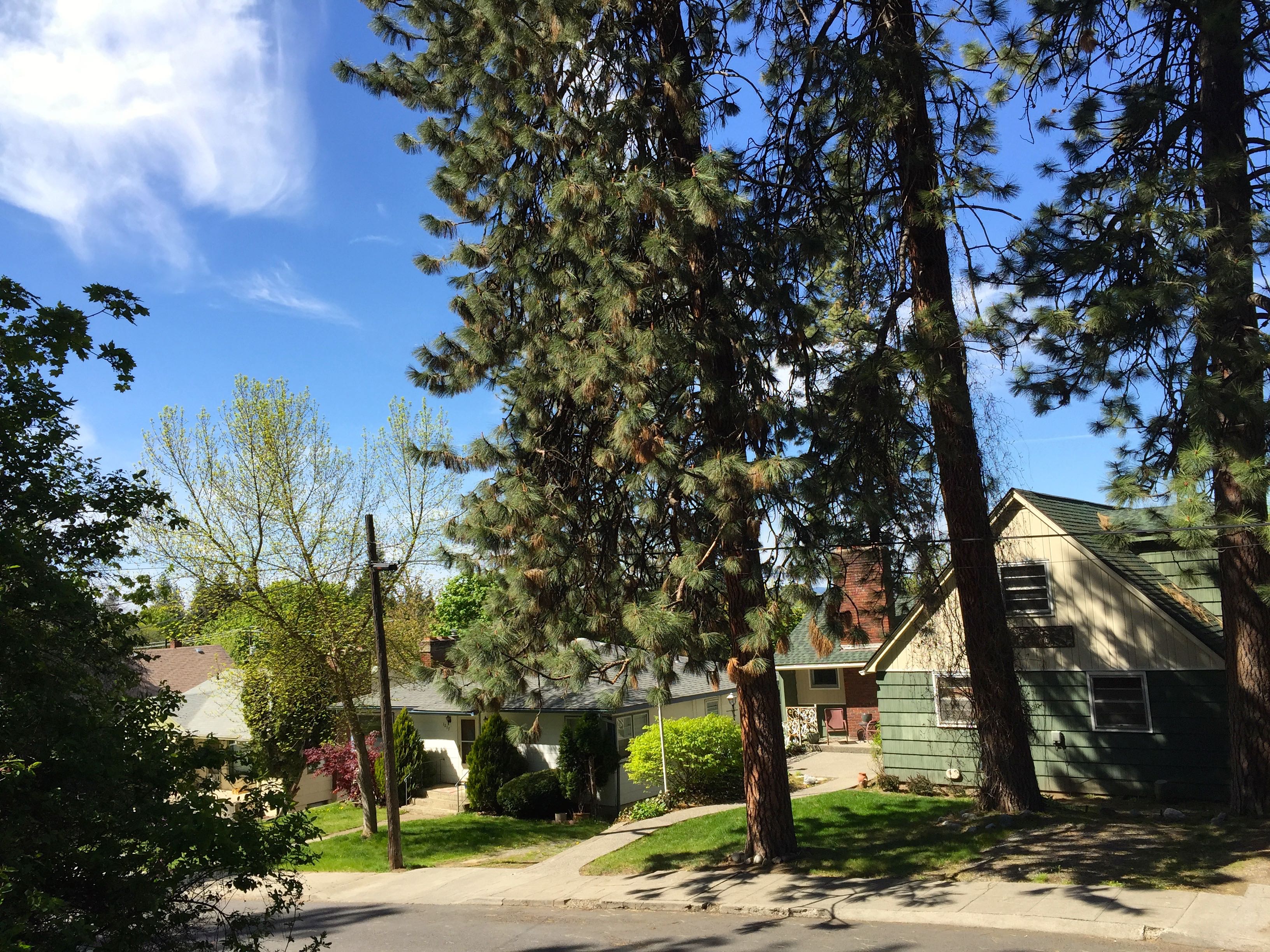 Groovy Perry District/South Hill MidCentury Home Houses for Rent in