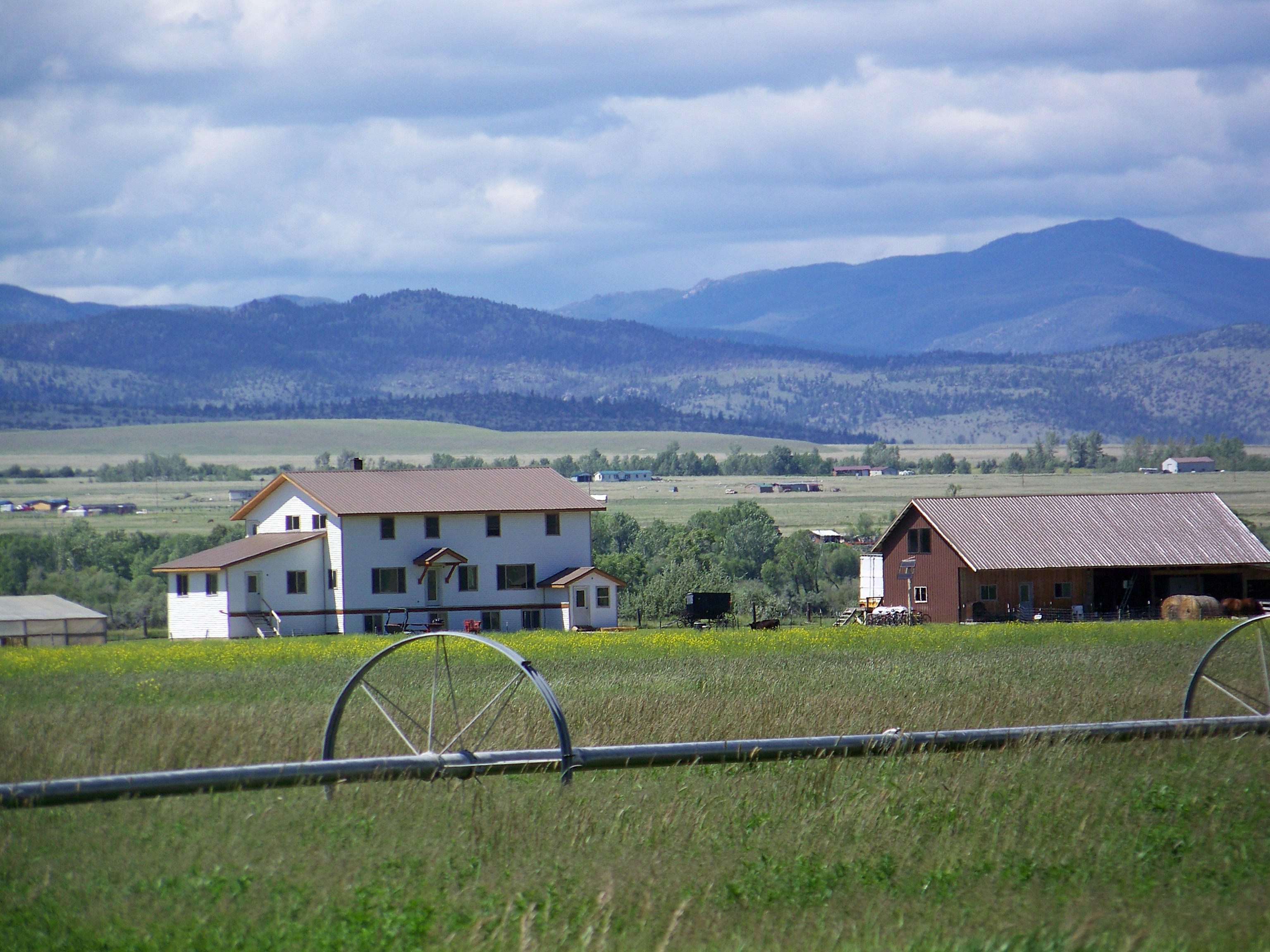 Amish Daily Family Apartment Farm stays for Rent in Whitehall