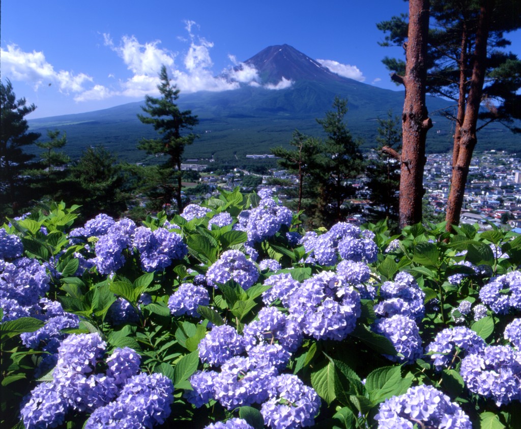 Mt Fuji View Erable Mt Fuji Kaze Villas For Rent In Fujikawaguchiko Minamitsuru District Yamanashi Japan