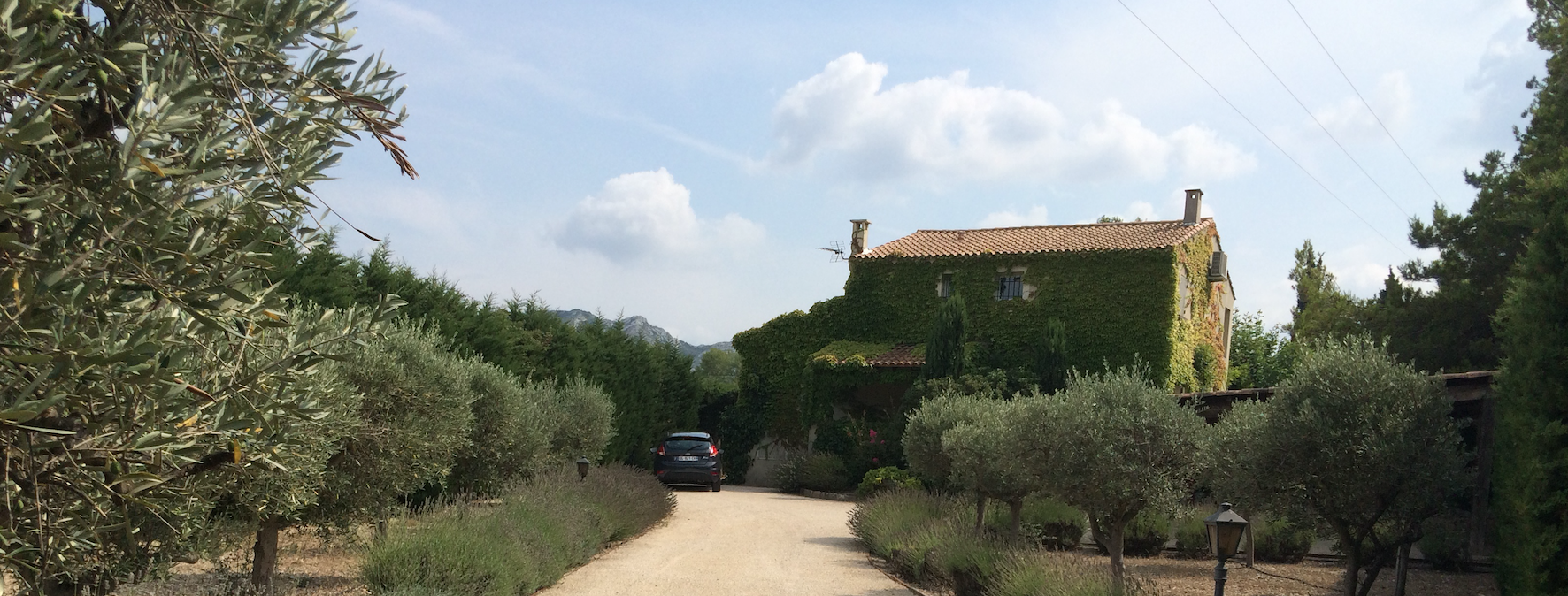 Charming Mas with Alpilles views