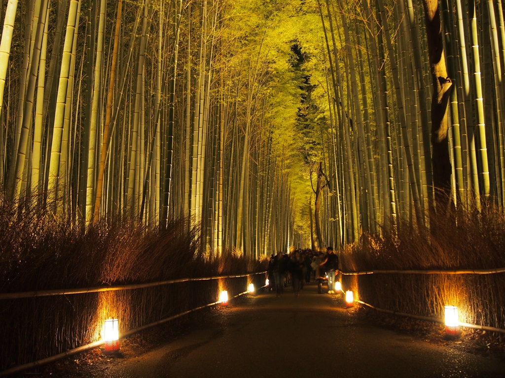 10min To Arashiyama Bamboo Monkey Park Serviced Apartments For Rent In Kyoto Shi Kyoto Prefecture Japan 10min To Arashiyama Bamboo Monkey Park Serviced Apartments For Rent In Kyoto Shi Kyoto Prefecture Japan