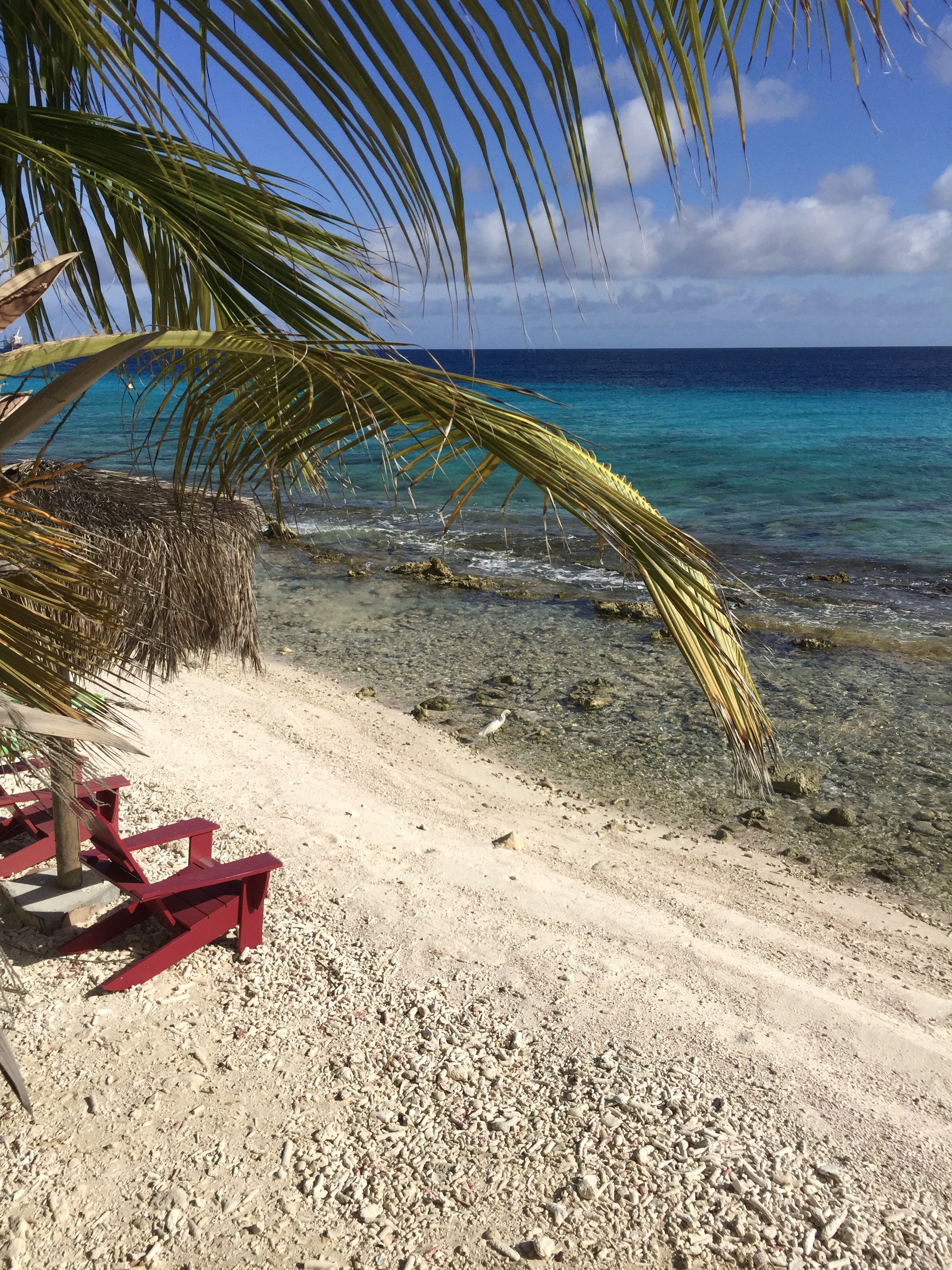 kralendijk bonaire beaches on Sunset Beach House Bonaire Villas For Rent In Kralendijk Bonaire Bonaire Sint Eustatius And Saba
