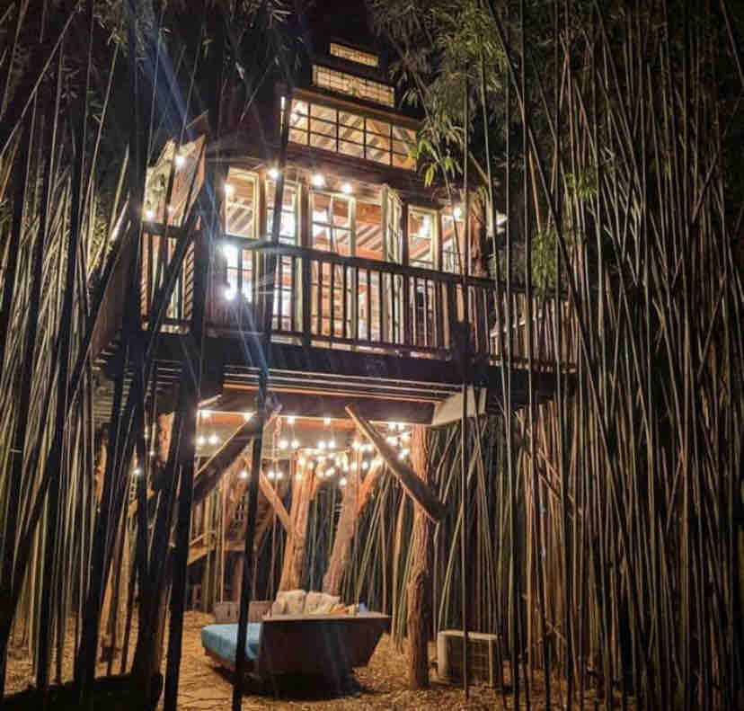 Atlanta Alpaca Treehouse In The Bamboo Forest Treehouses For Rent In Atlanta Georgia United States Atlanta Alpaca Treehouse In The Bamboo Forest Treehouses For Rent In Atlanta Georgia United States