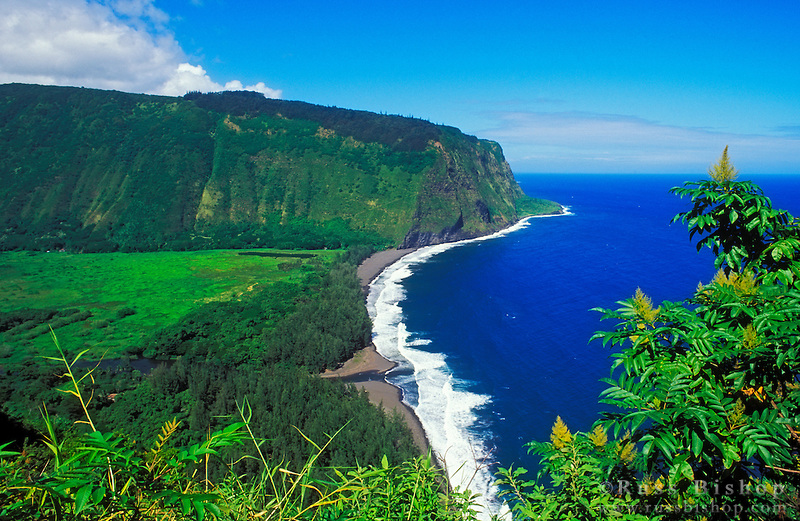 Orchard CottageOn Ocean Cliff! Tiny houses for Rent in Honokaa