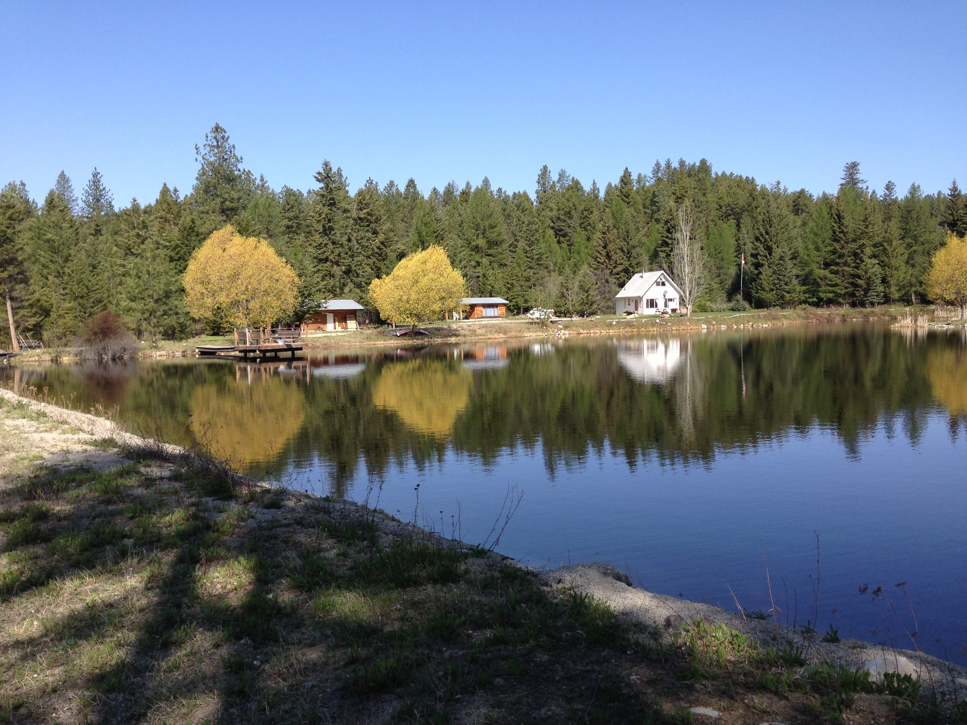 Owls Roost Cabin