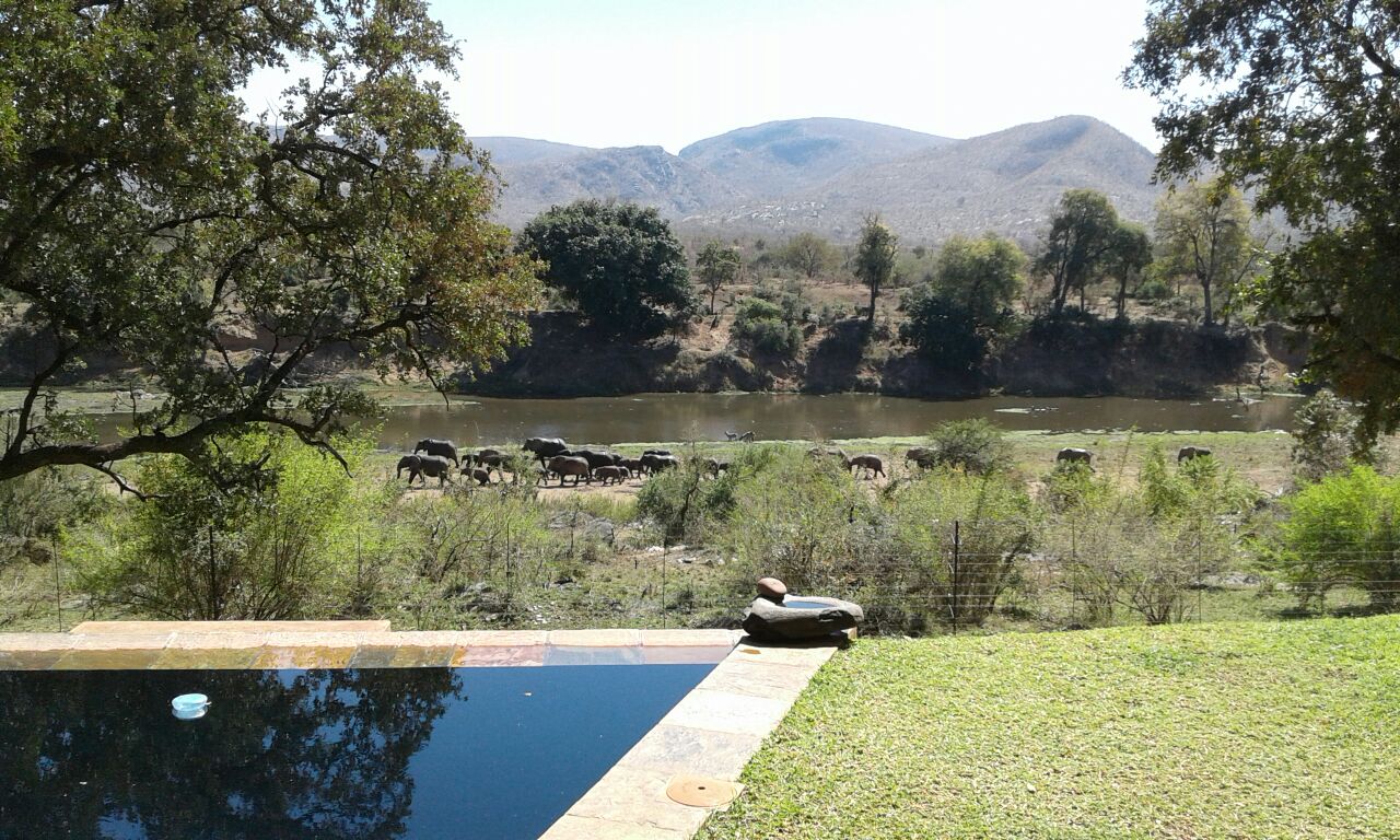 1 Bdrm Elephant & Marula with Kruger Park View Houses for Rent in