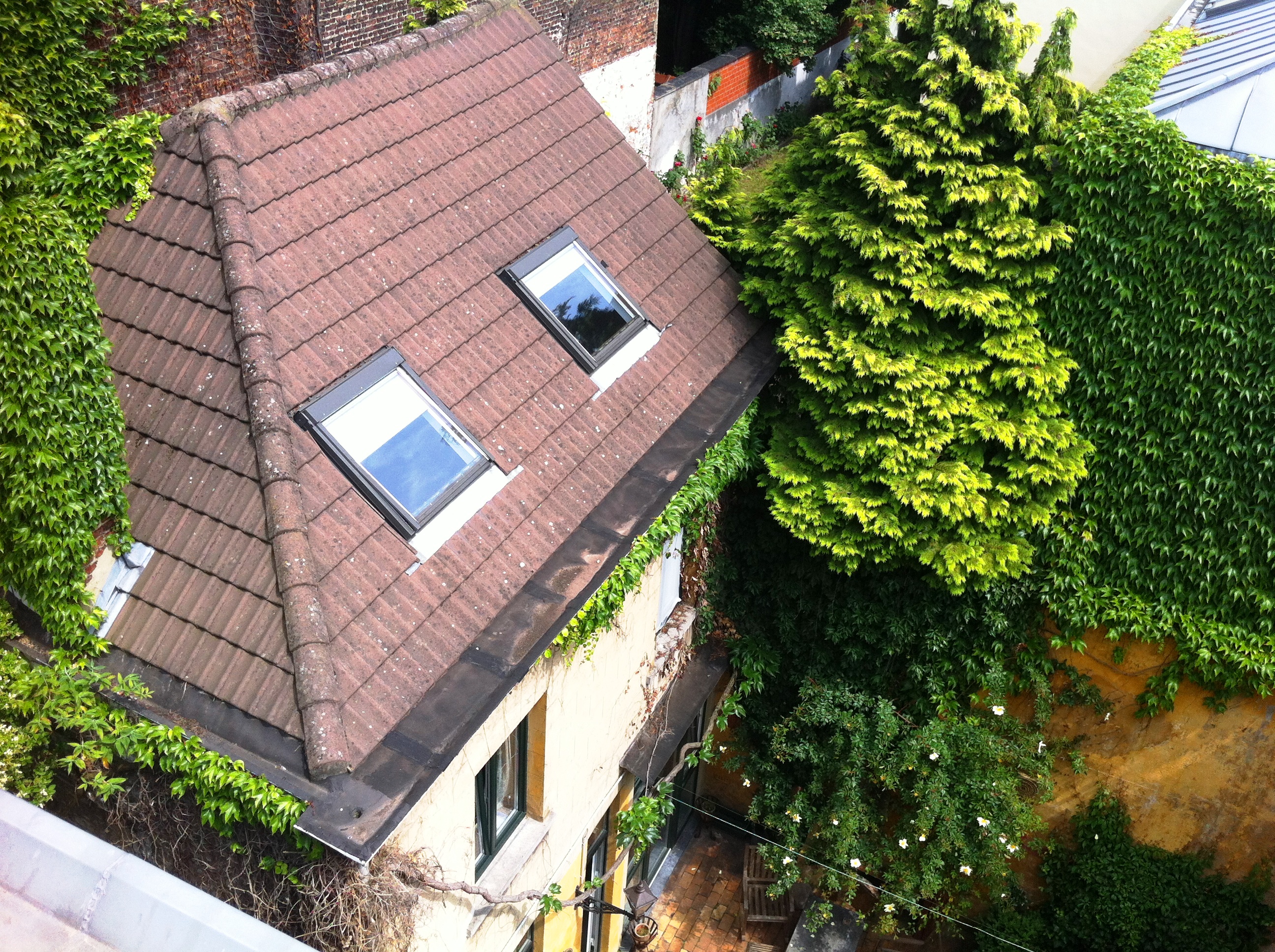 Three rooms in an ancient house in Schaerbeek, Brussels