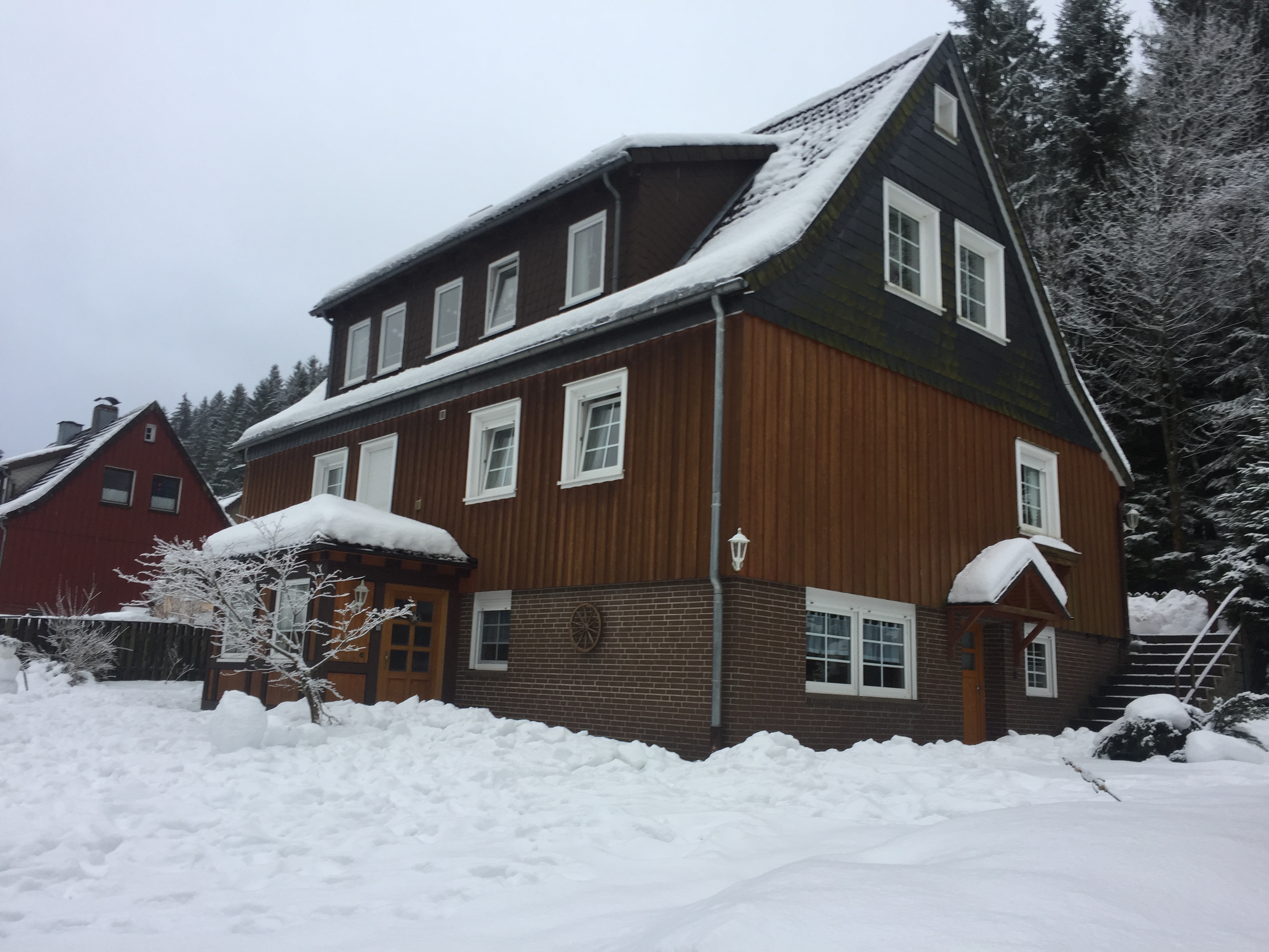 Silberwald 2