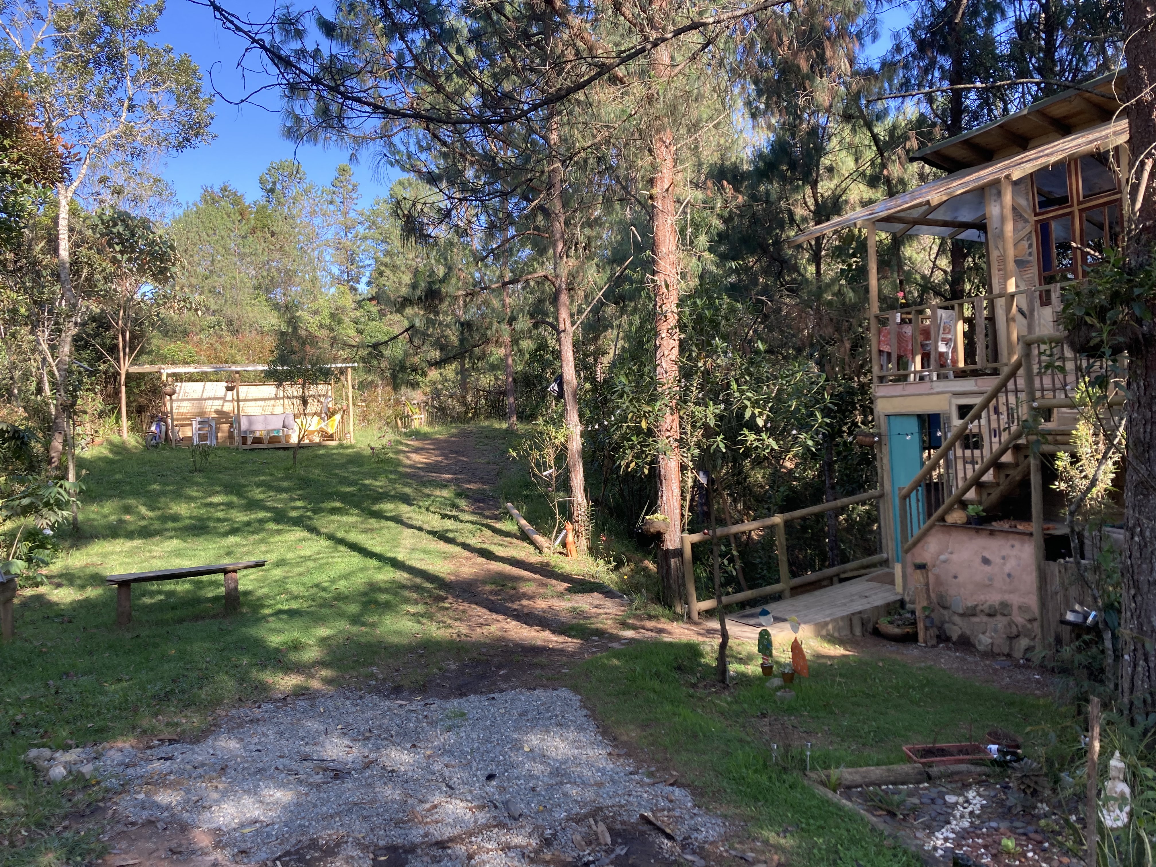 Forest Cabin
