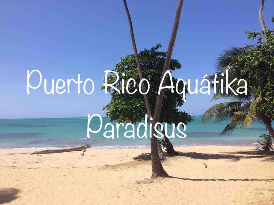 Aquátika Paradisus Beautiful Unit w/access beach