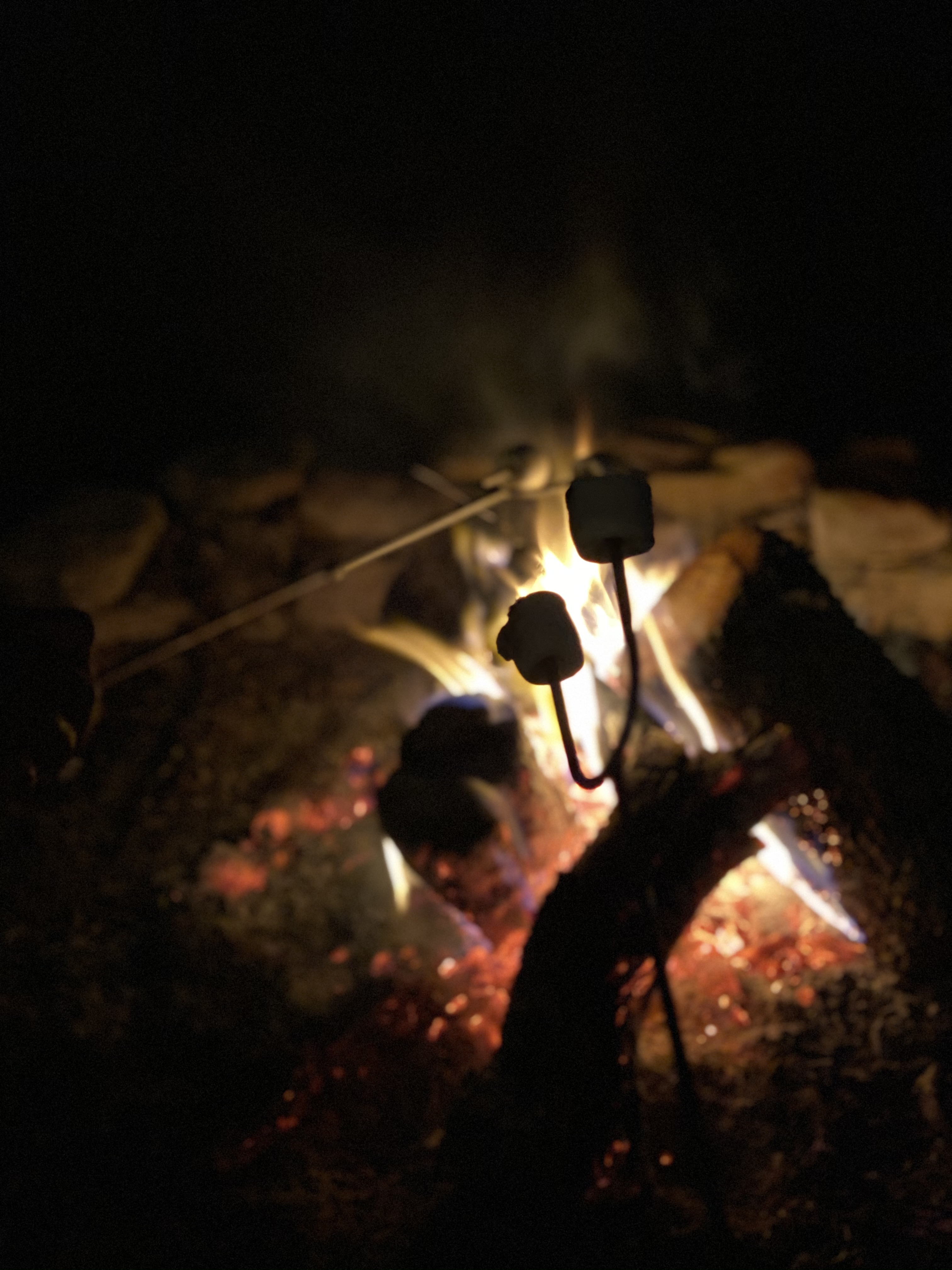 dallas cowboys fire pit on Electric Fireplace Fire Pit Lake Fishing Kayaks Houses For Rent In Burnet Texas United States