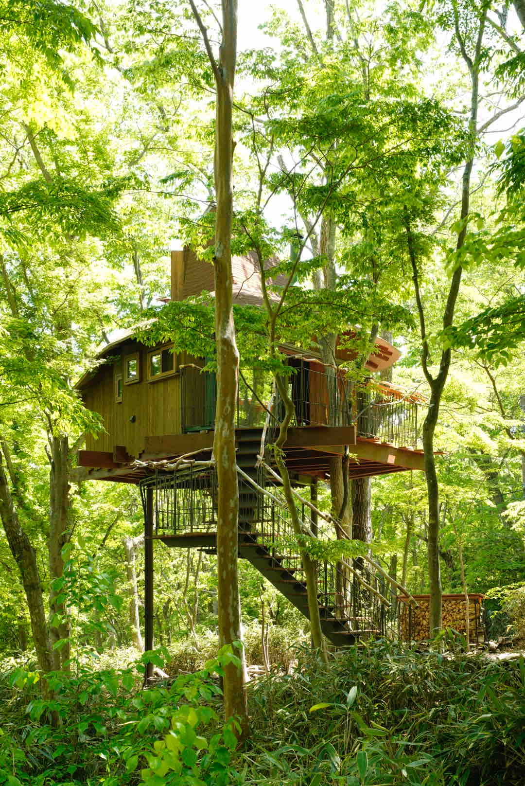 中村拓志氏設計 箱根の暮らせるツリーハウス 小さくても全て足りる 森と共に生きる Treehouses For Rent In Hakone Ashigarashimo District Kanagawa Japan