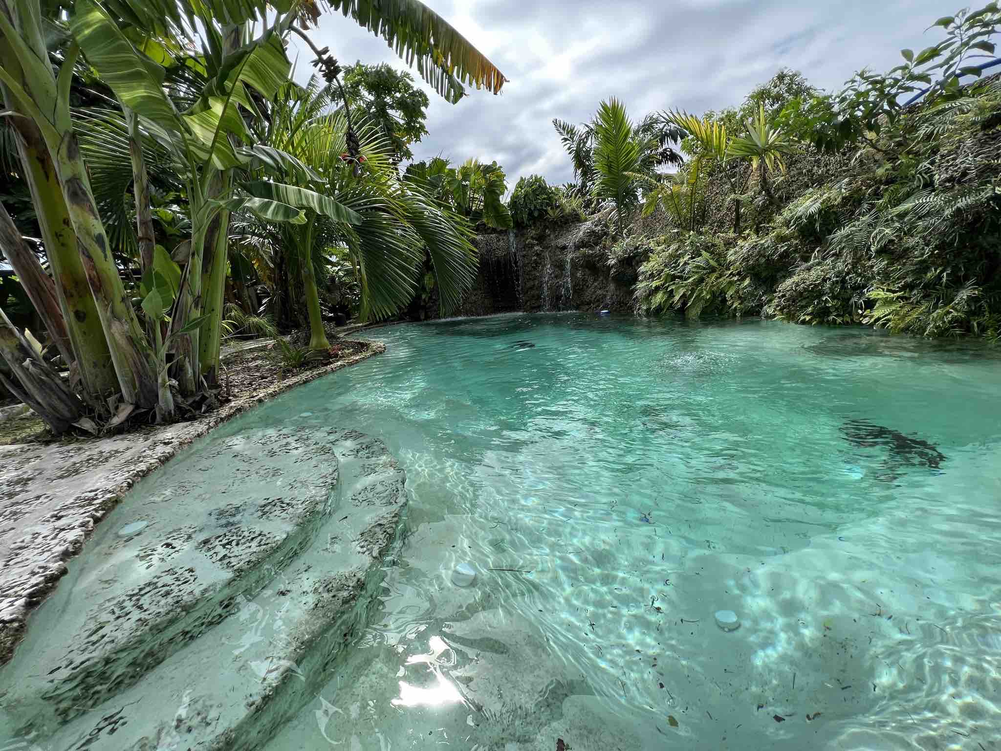 Casa Papaya Miami + Private Waterfall