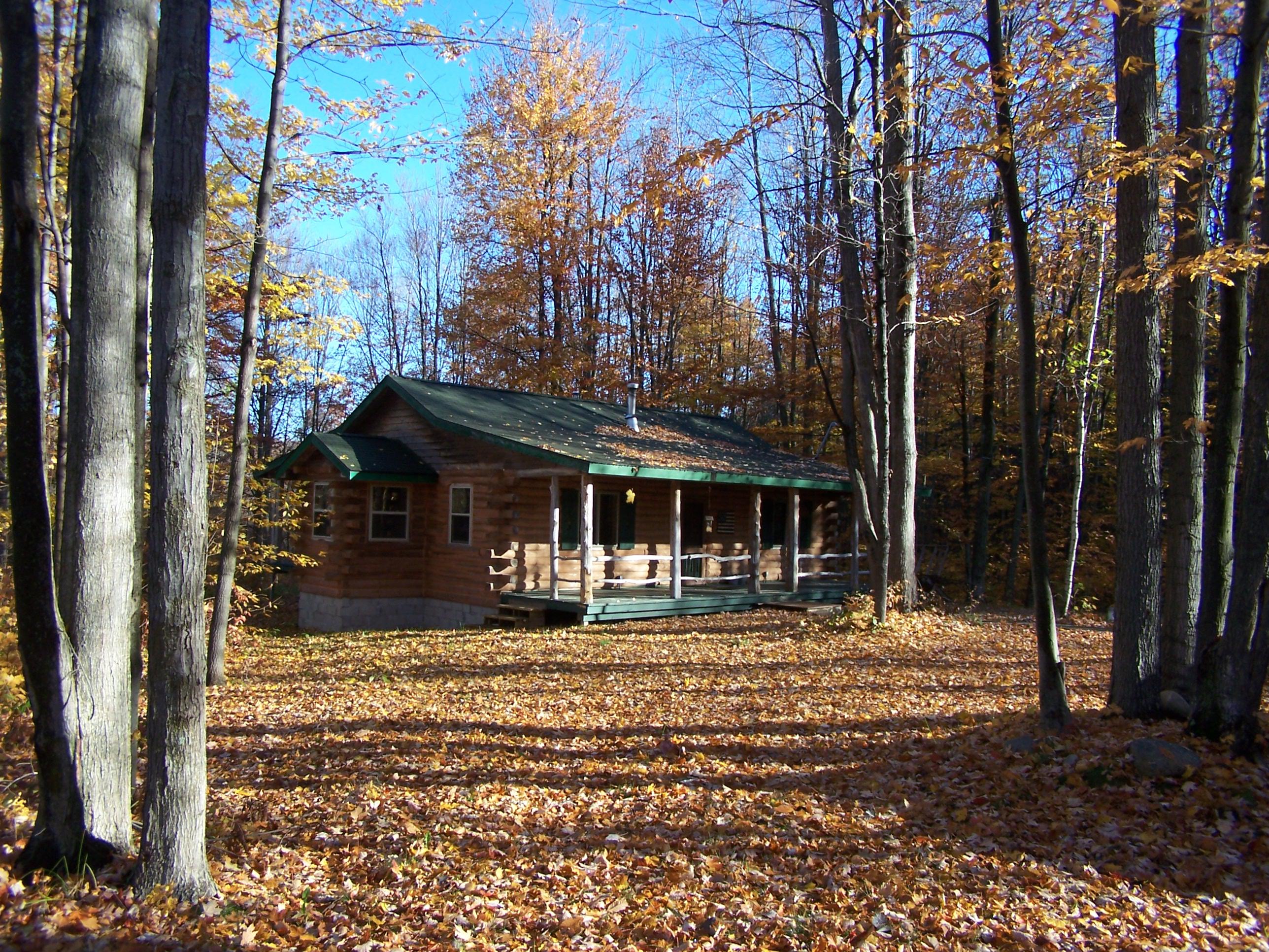 Secluded log cabin with acreage + all the comforts Cabins for Rent in