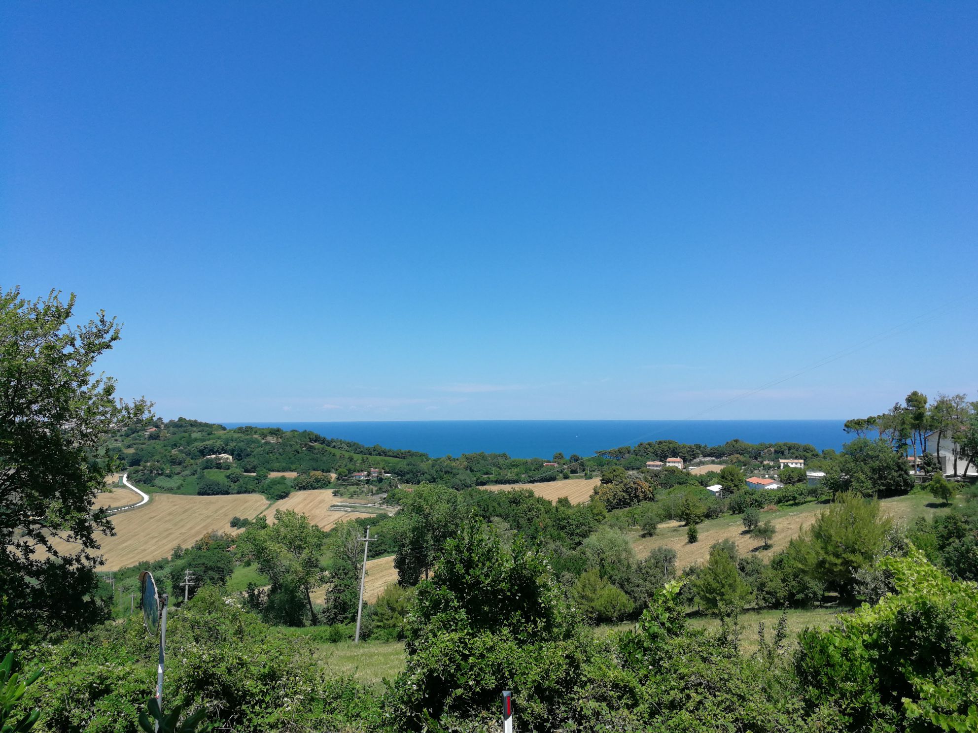 The Olives of Conero (Ancona - Portonovo)