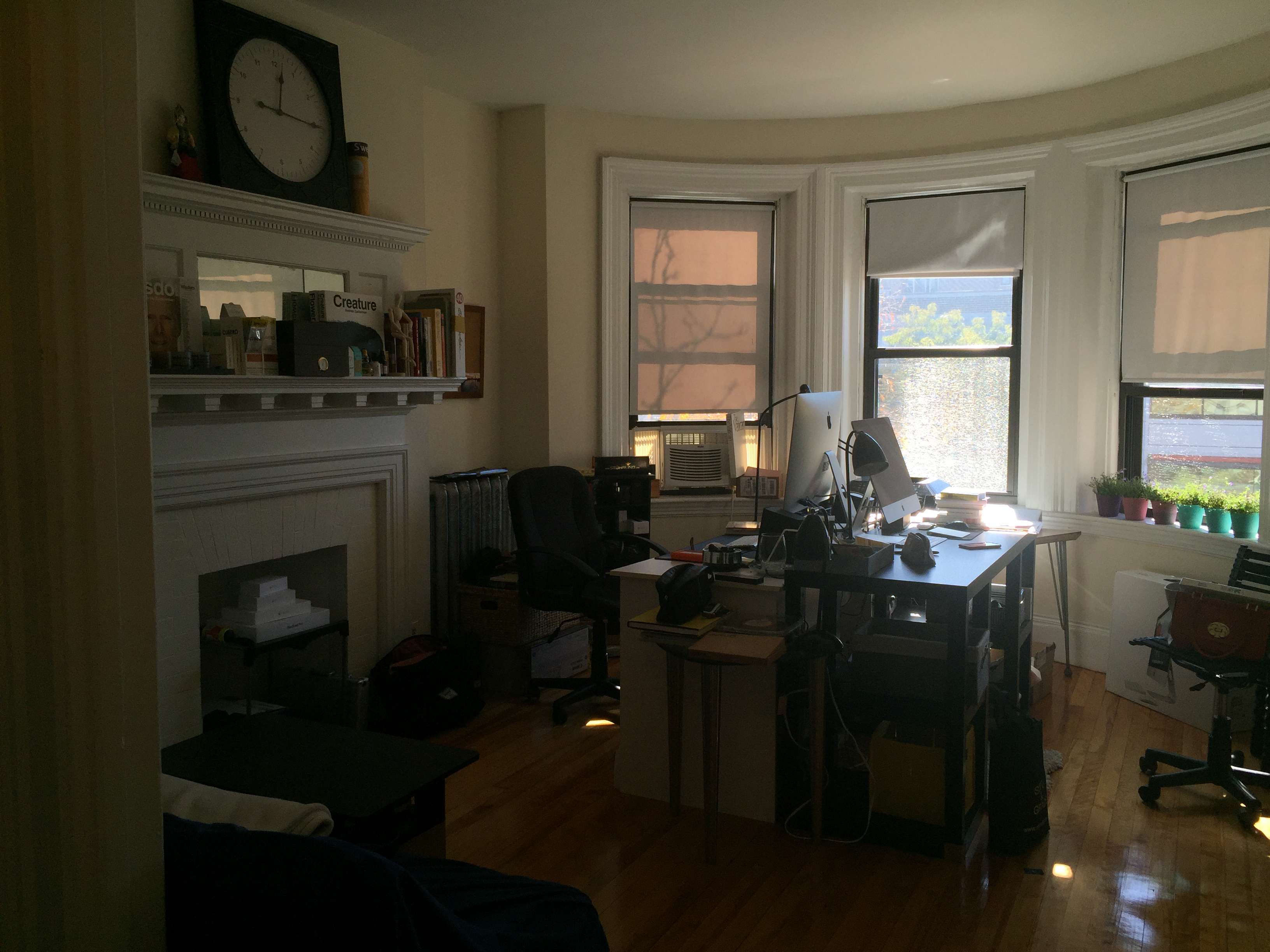 Cozy & sunny apartment BU/Allston in Allston, Boston