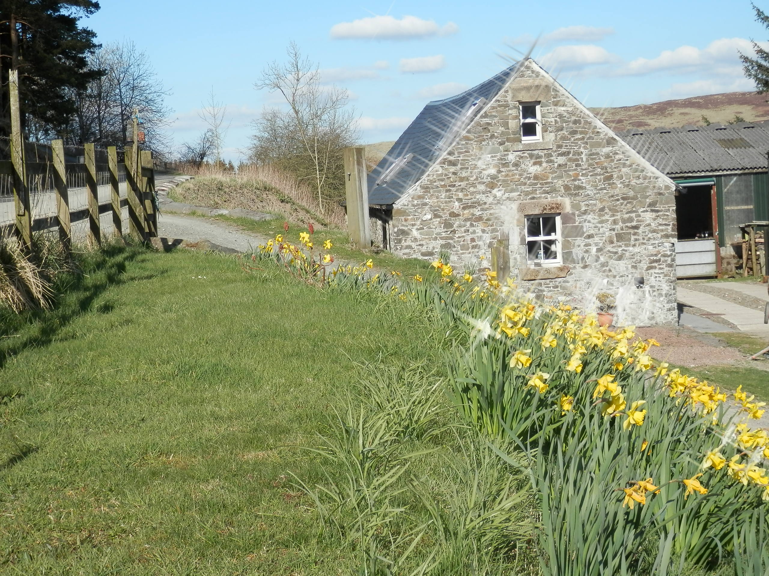 Curlew Cottage and Free Shepherd's Hut Houses for Rent in Scottish Borders, Scotland, United