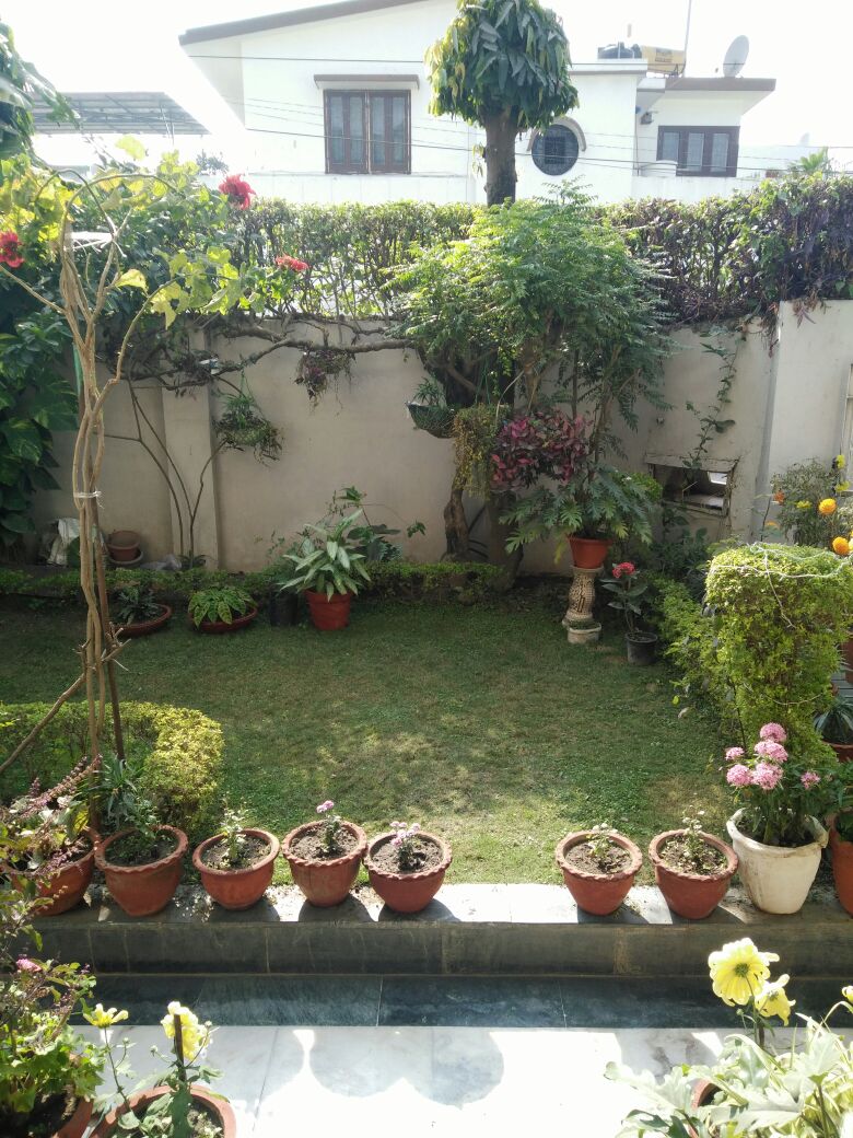 small terrace garden ideas india on Terrace Garden Home Houses For Rent In Dehradun Uttarakhand India