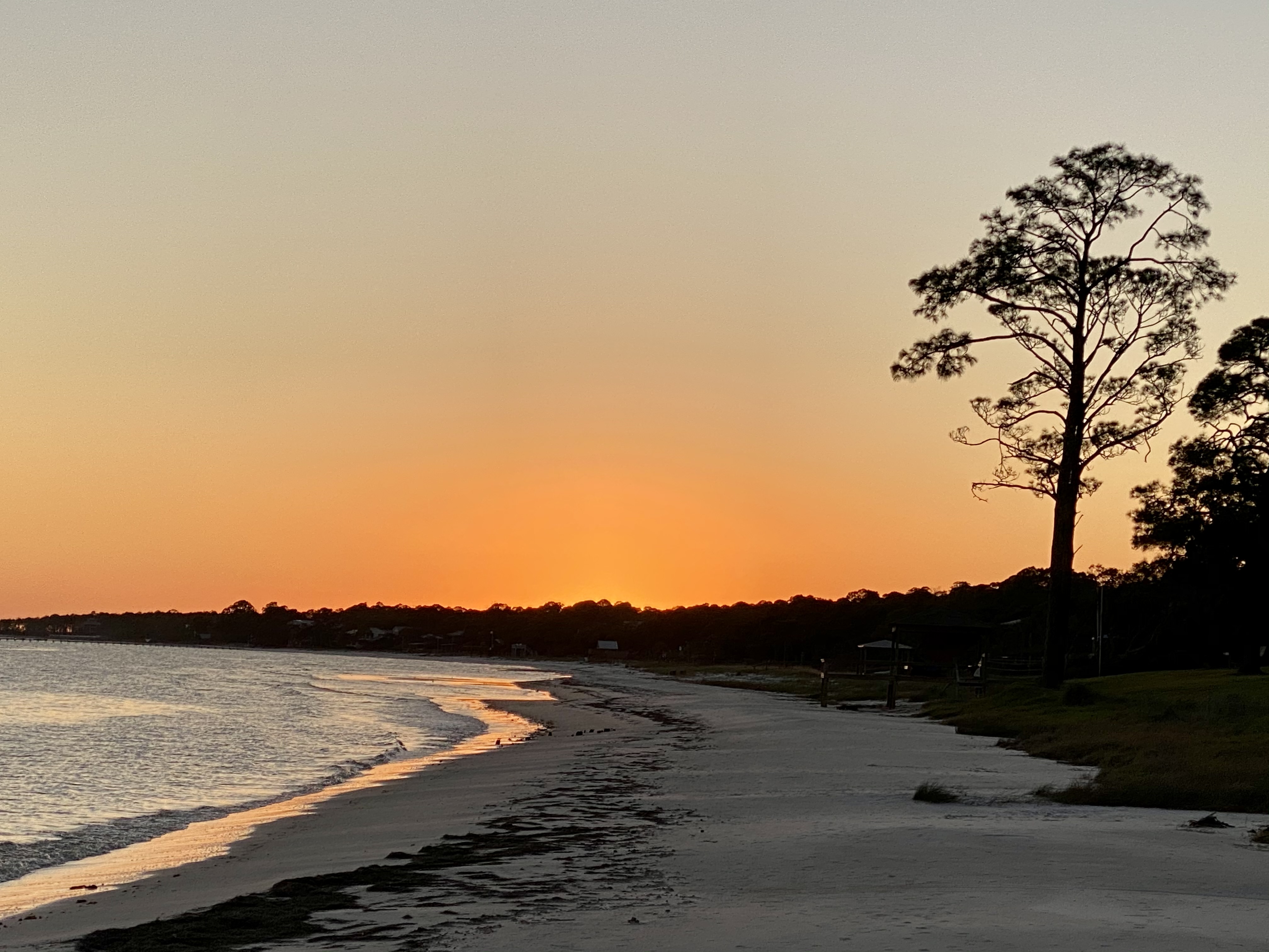 Seaglasson St. Teresa Beach Apartments for Rent in Panacea, Florida