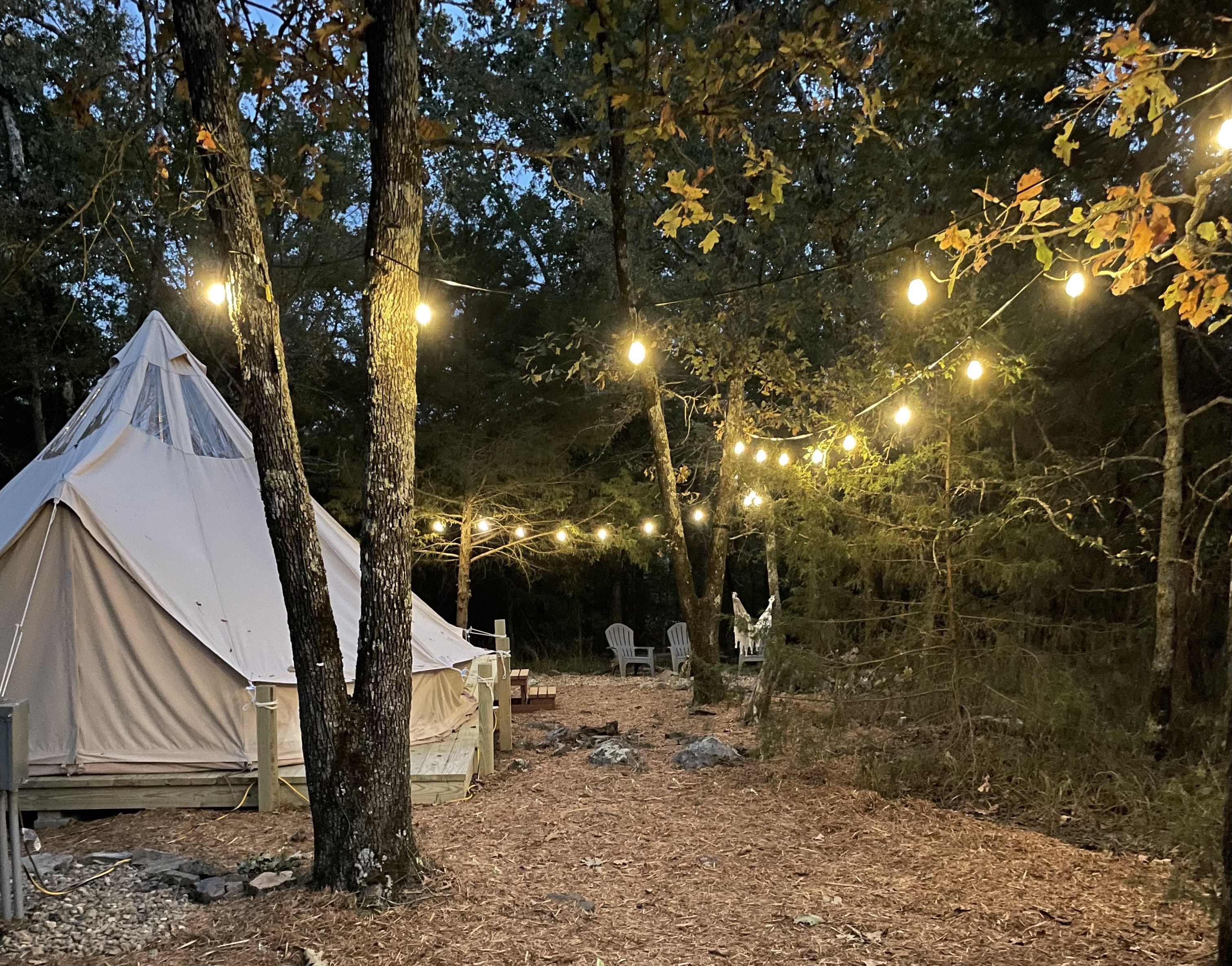 Luxury Glamping tent in Ouachita Mountains