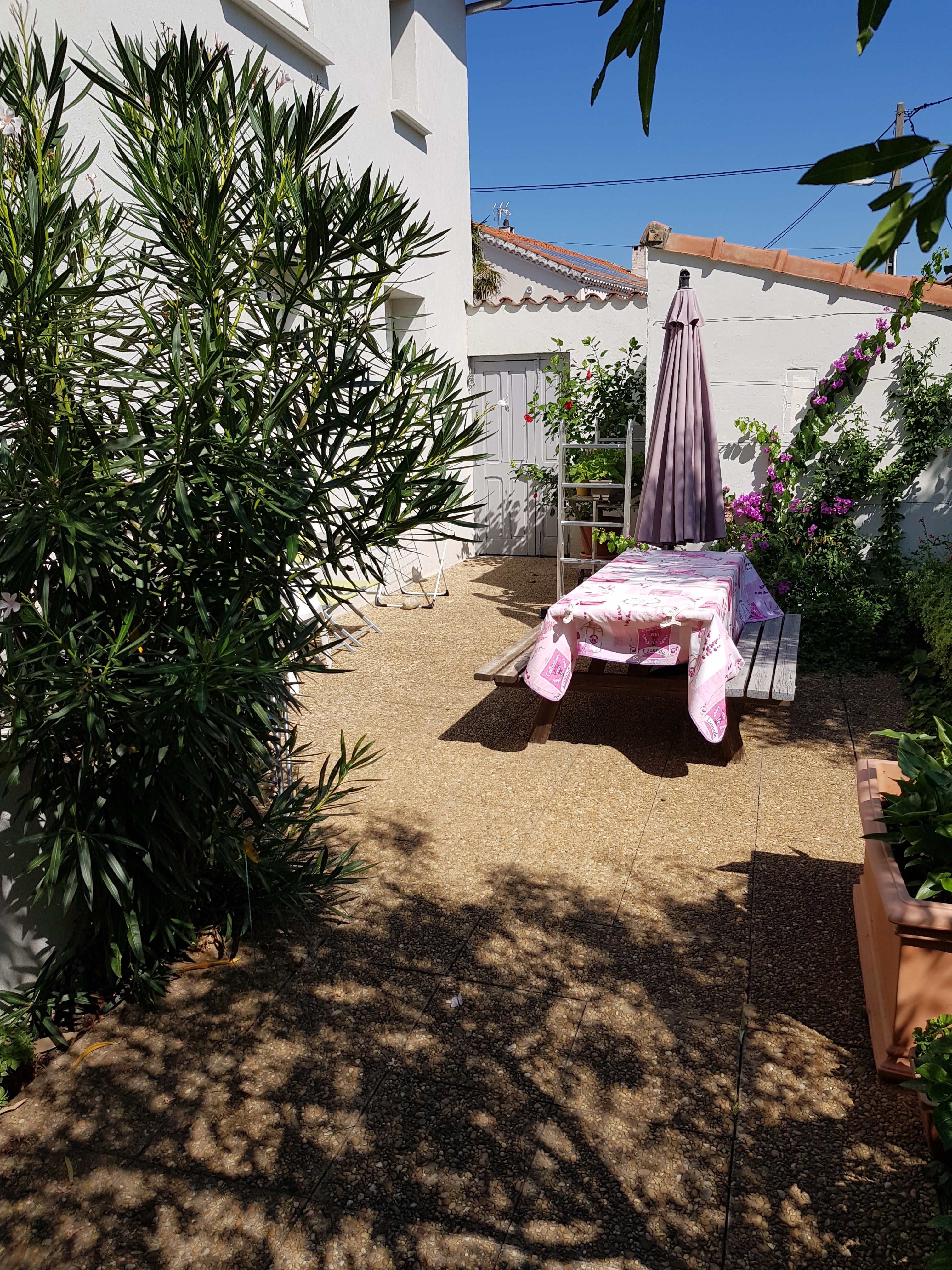 Rez de jardin  maison / garden level house
