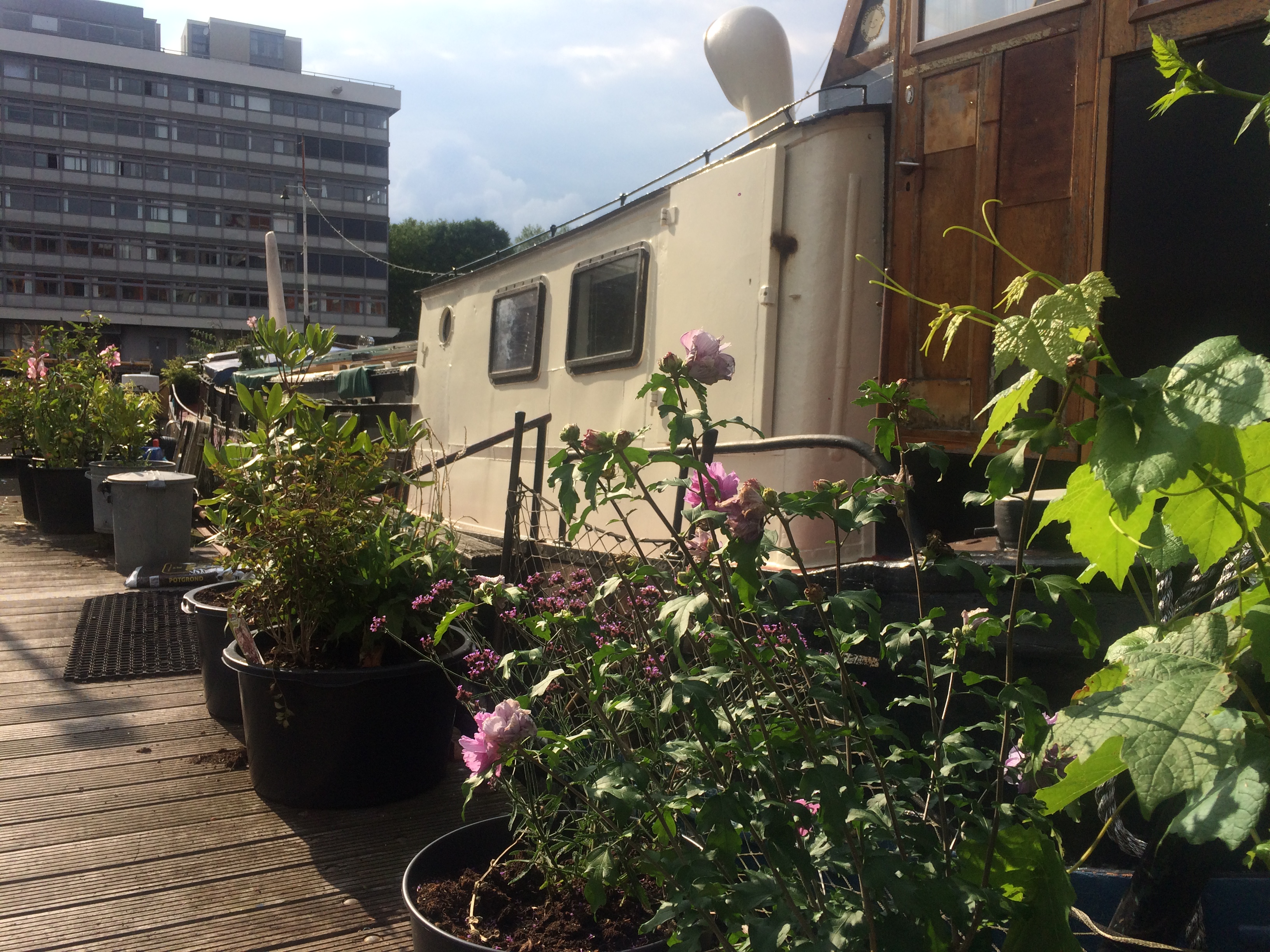 Volharding Amsterdam โ Amsterdam stay