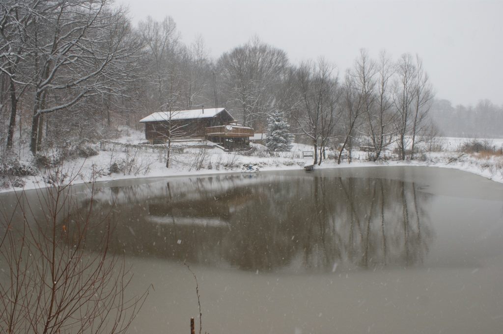 Hutchins Creek Cabin 2br Wine Trail & Wilderness Cabins for Rent in