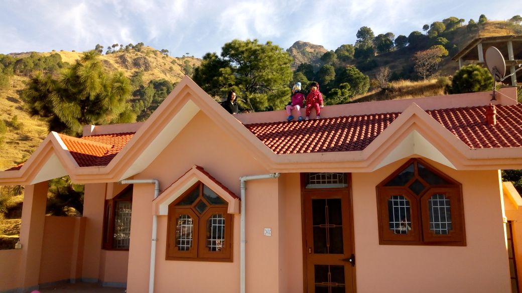 Solan view