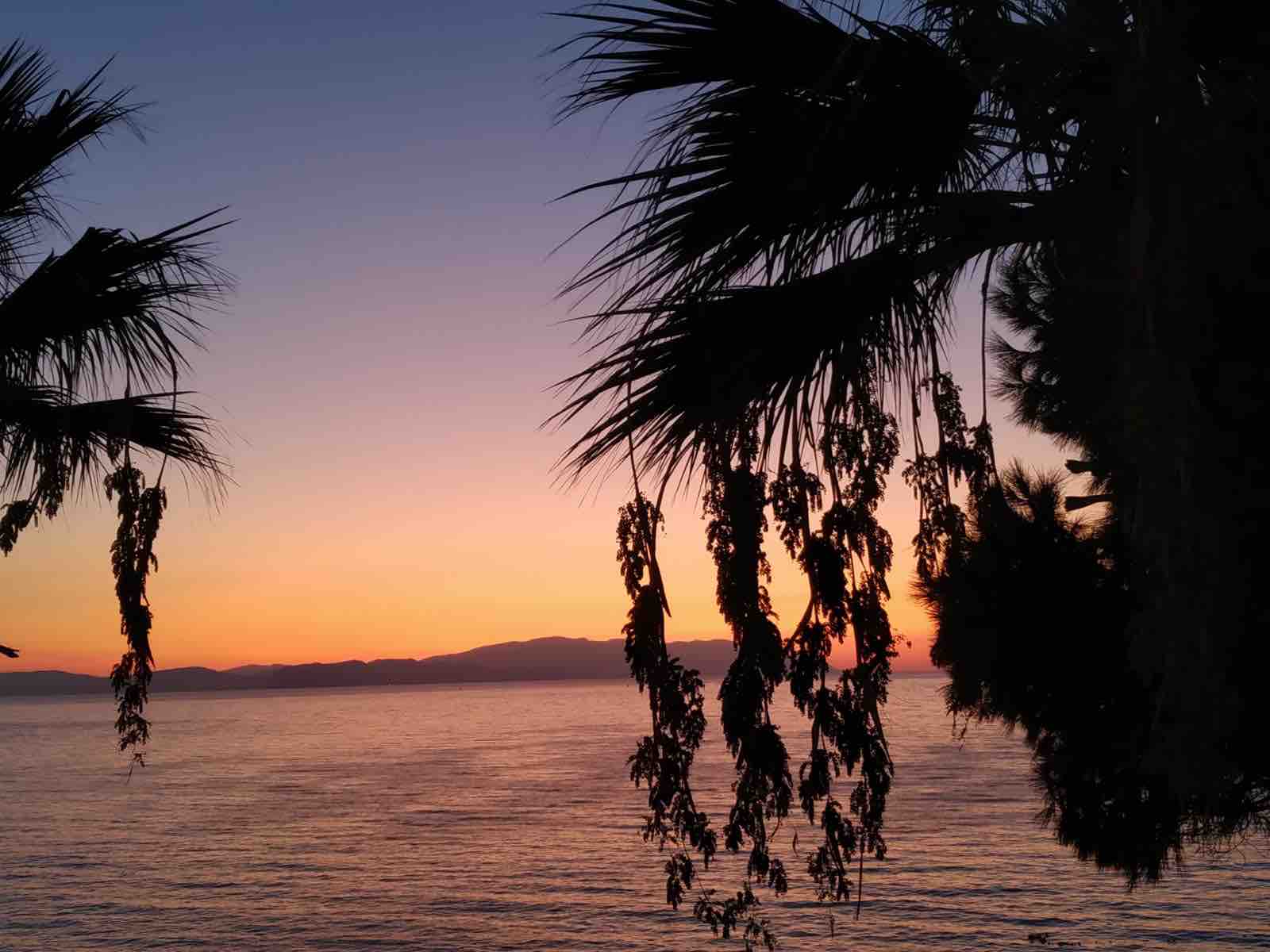 yüzme havuzlu , denize sıfır yazlık Kuşadası/AYDIN şehrinde Kiralık