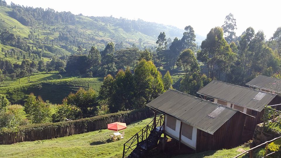 Aberdare Cottages & Fishing Lodge Nature lodges for Rent in Muranga