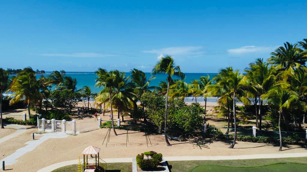 Stunning beachfront penthouse Bosque del Mar Apartments for Rent in