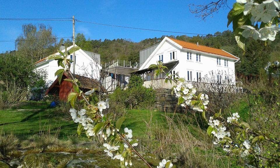 Flott leilighet med takterrasse.