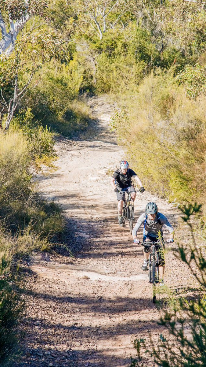 manly dam bike track