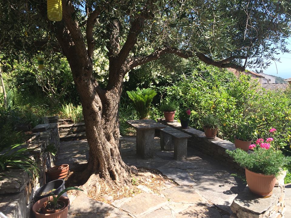 Location Cap Corse Villa Brando.