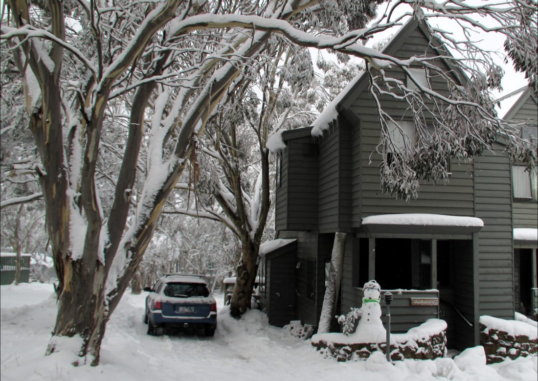 Wallace's-your high country holiday