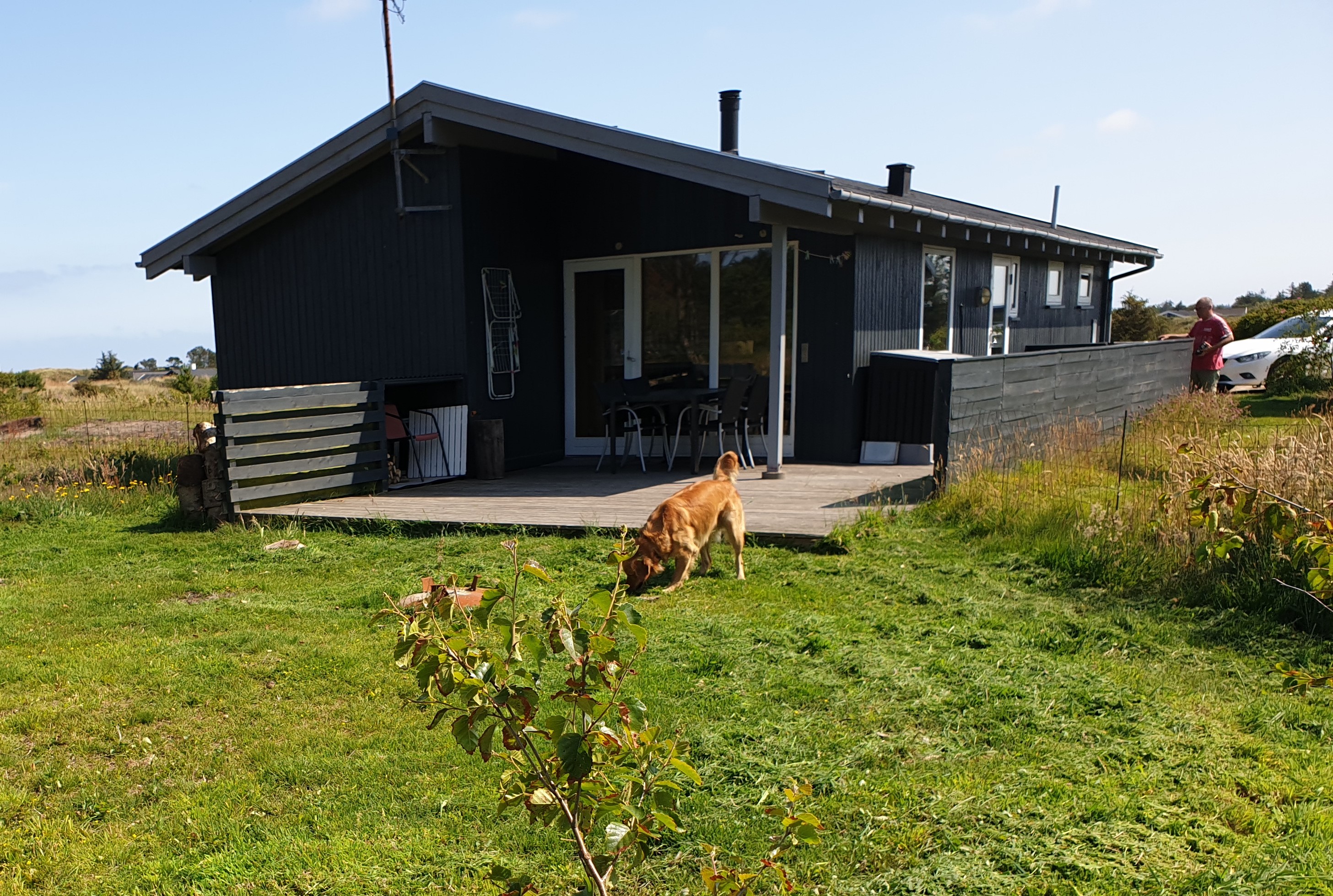 Near the shores and beach - The North Sea Denmark