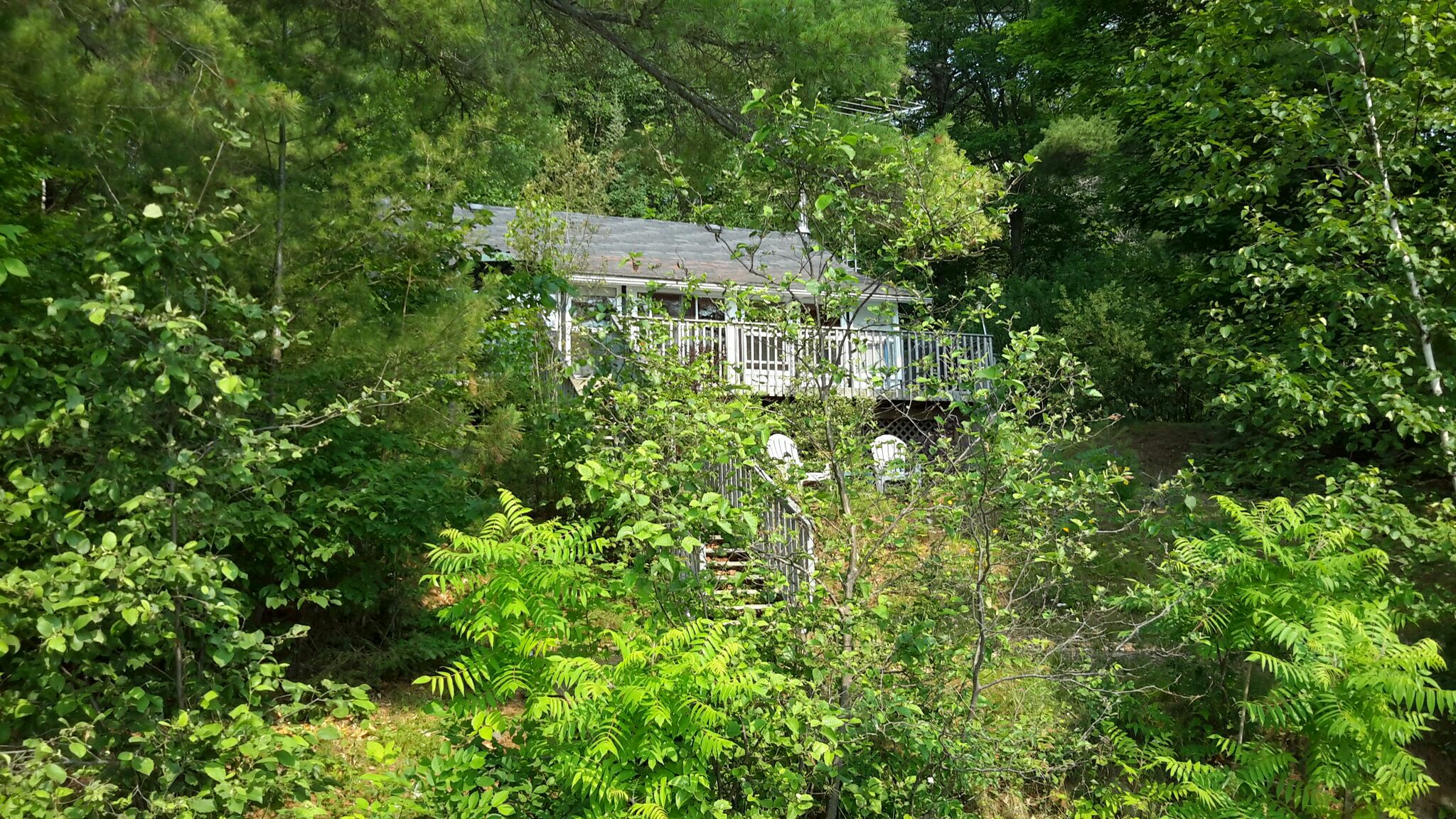 Lakefront Cottage Lanark Highlands Cabins for Rent in Lanark, Ontario