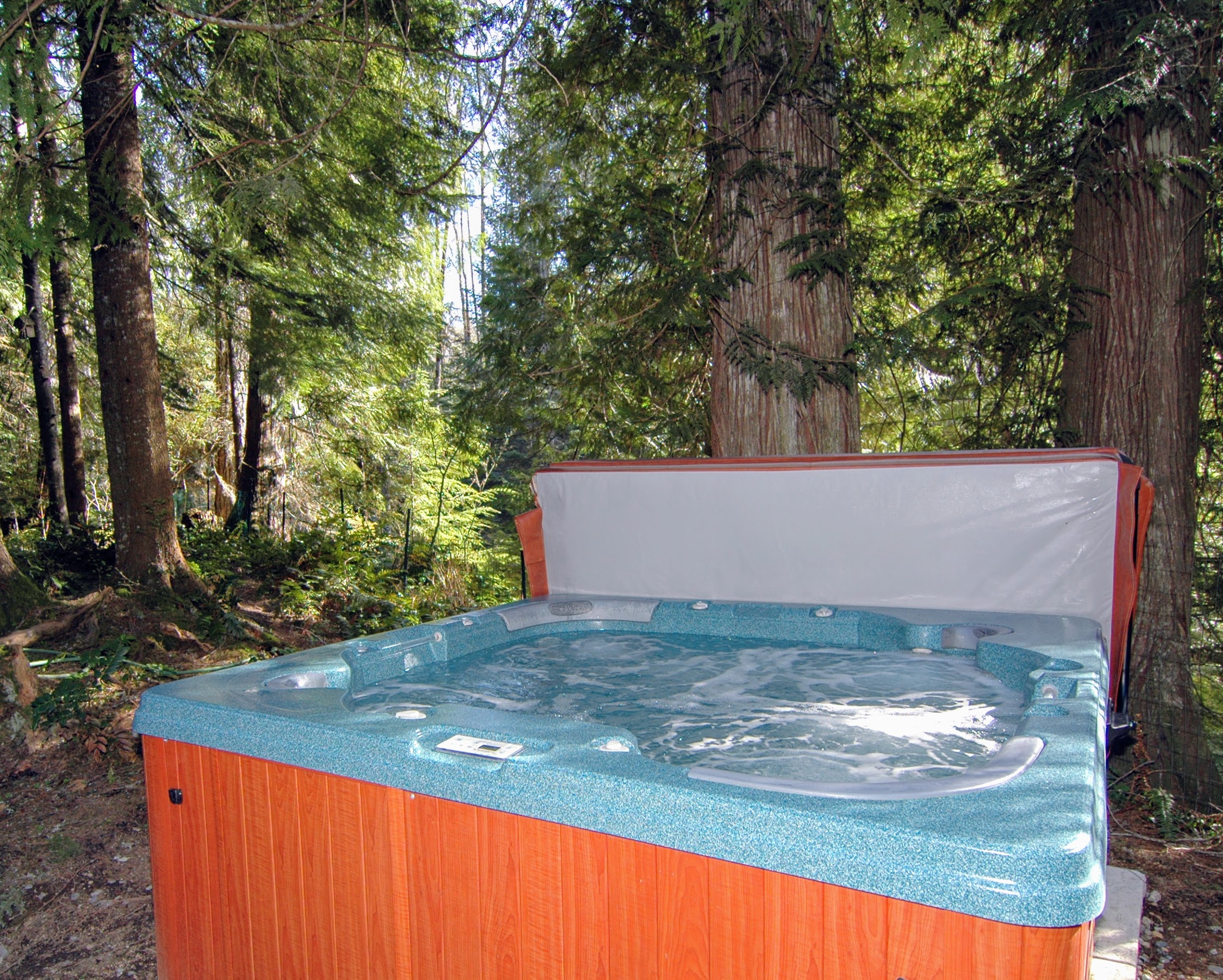 dog friendly cottages ashford in the water