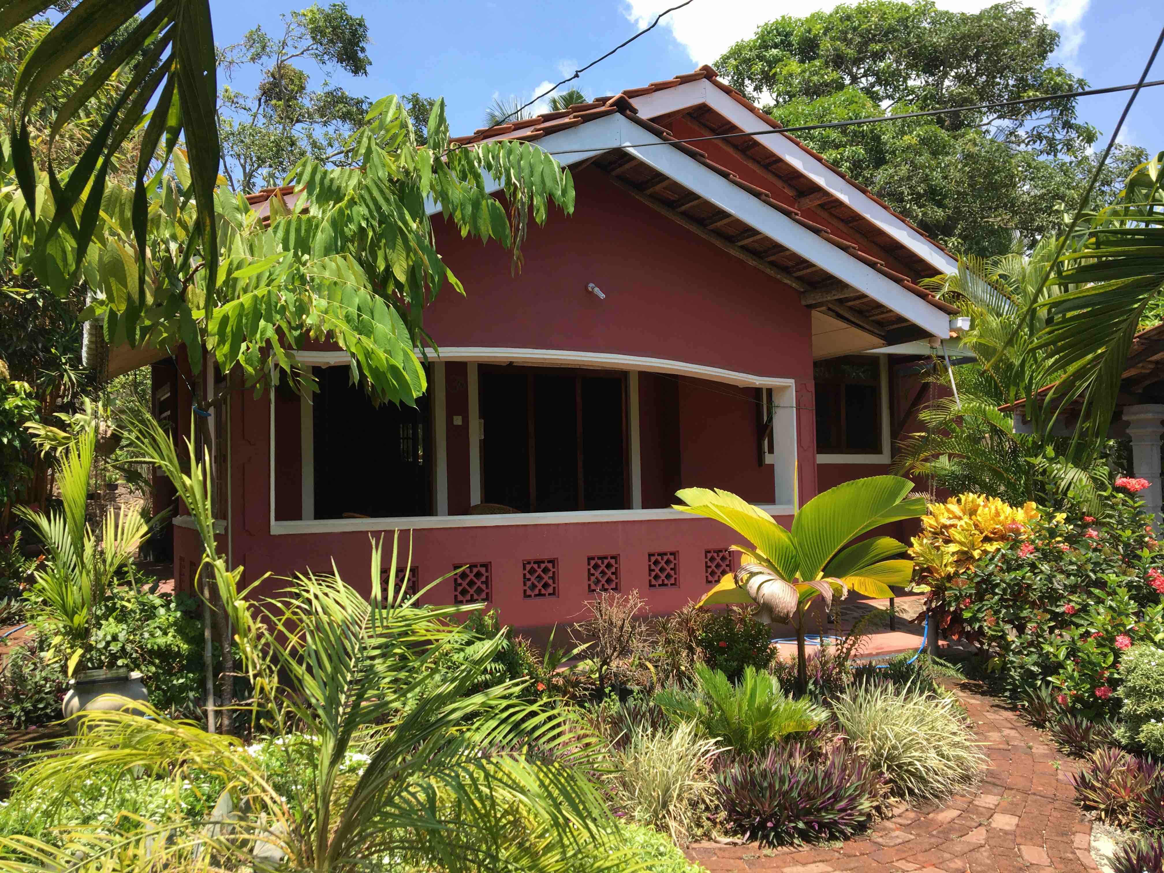 Blue Lotus Villa Deluxe Rm W Pool A C Optional Bed And Breakfasts For Rent In Hikkaduwa Sp Sri Lanka