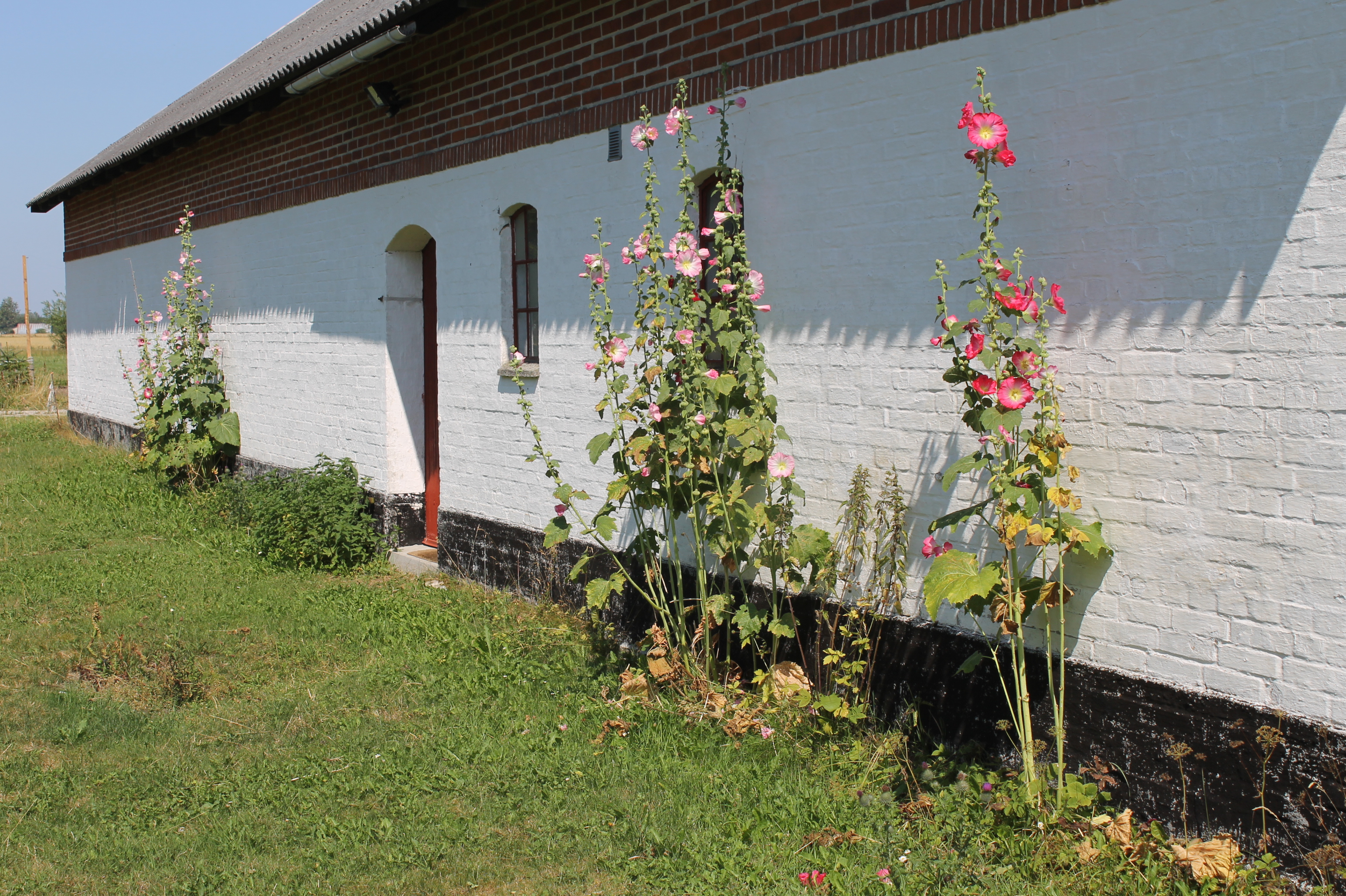 Holiday guest house Welcome to Toftelund